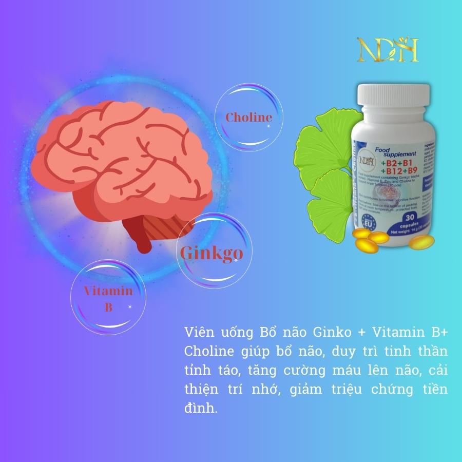 Viên Uống Bổ Não Ginkgo +B Vitamin +Choline, 30 viên