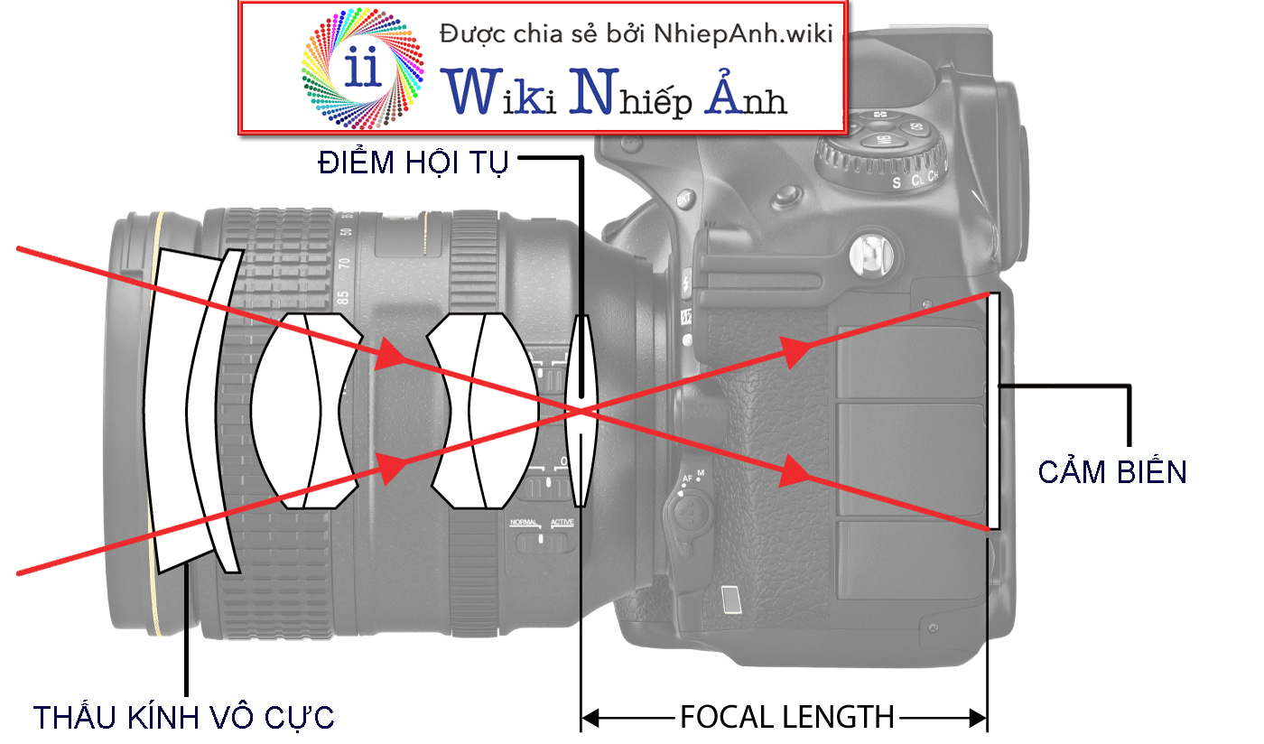 TIÊU CỰ ỐNG KÍNH MÁY ẢNH LÀ GÌ | HIỆU ỨNG TIÊU CỰ