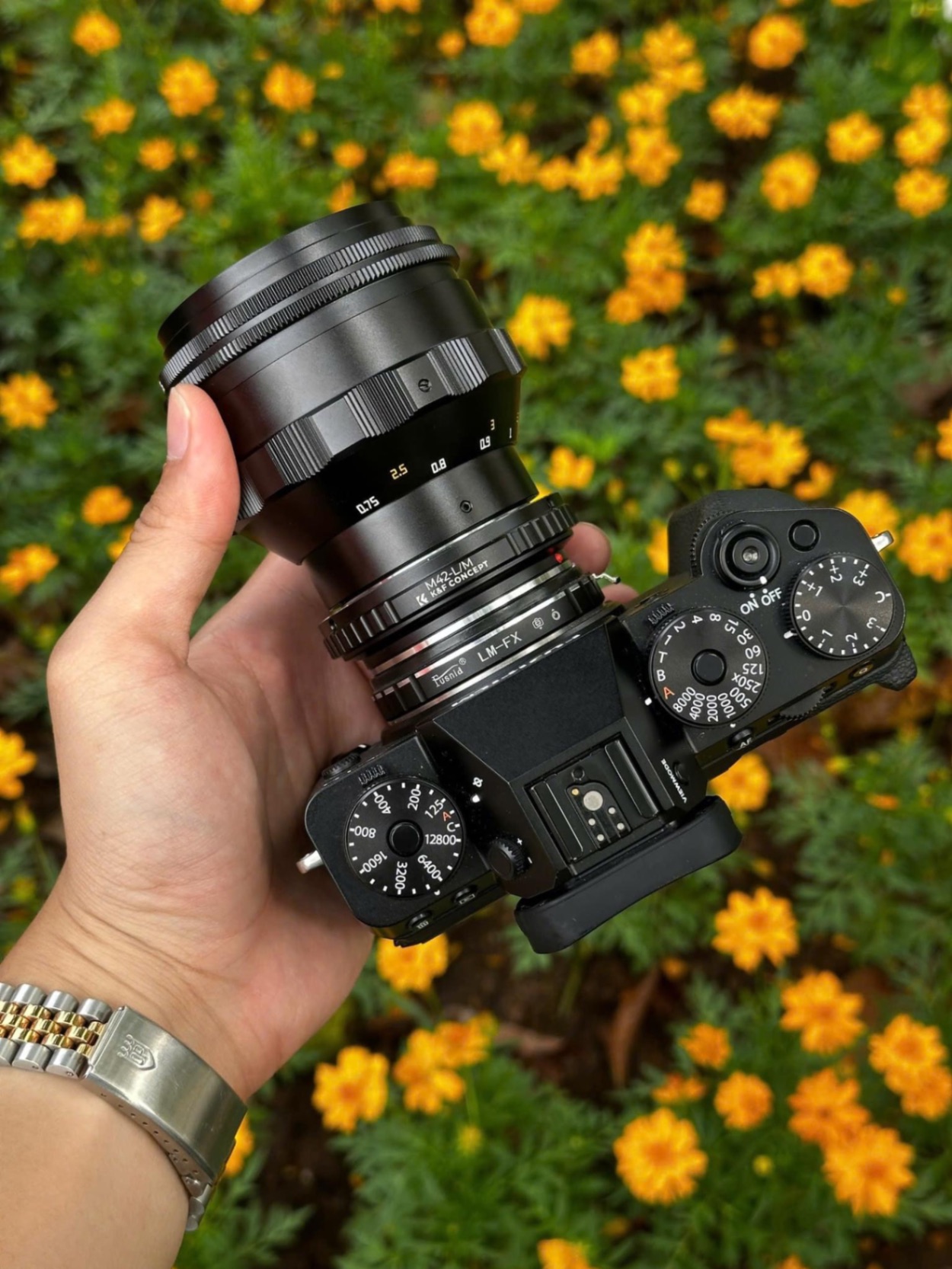 Review TTArtisan 75mm F1.5