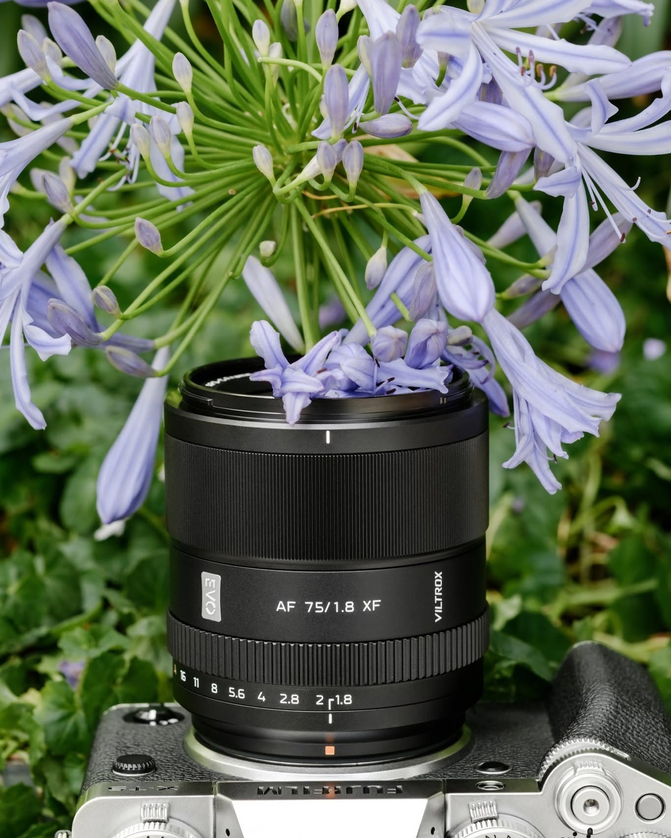 Ống kính Viltrox AF 75mm F1.8 EVO