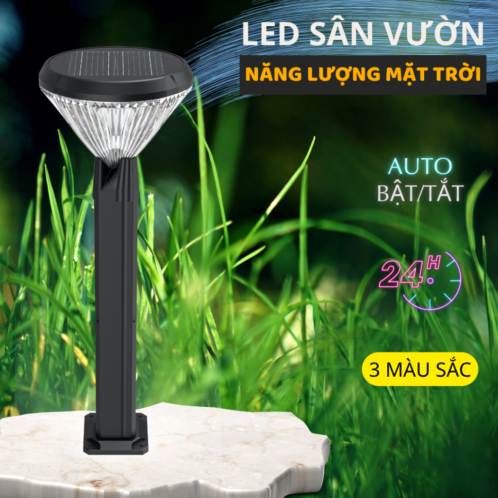 TRÒN CAO_1.png