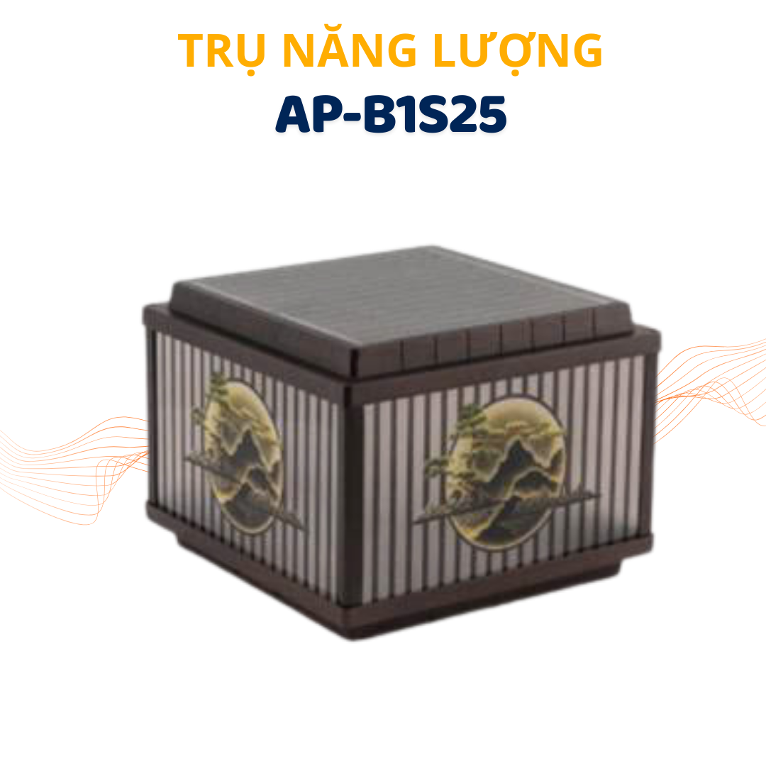 AP-C5S25_1.png