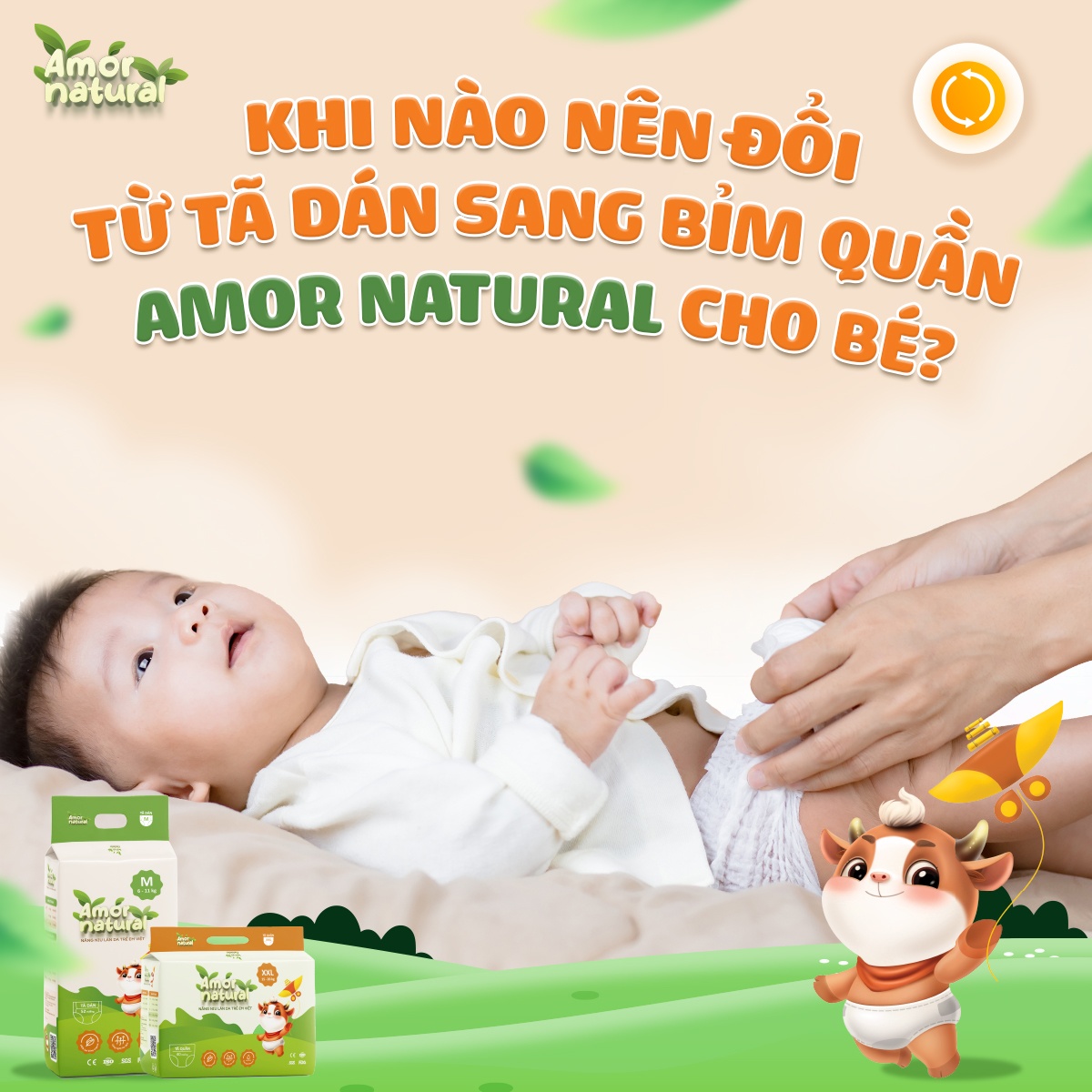 Khi nào nên đổi từ tã dán sang bỉm quần Amor Natural cho bé?
