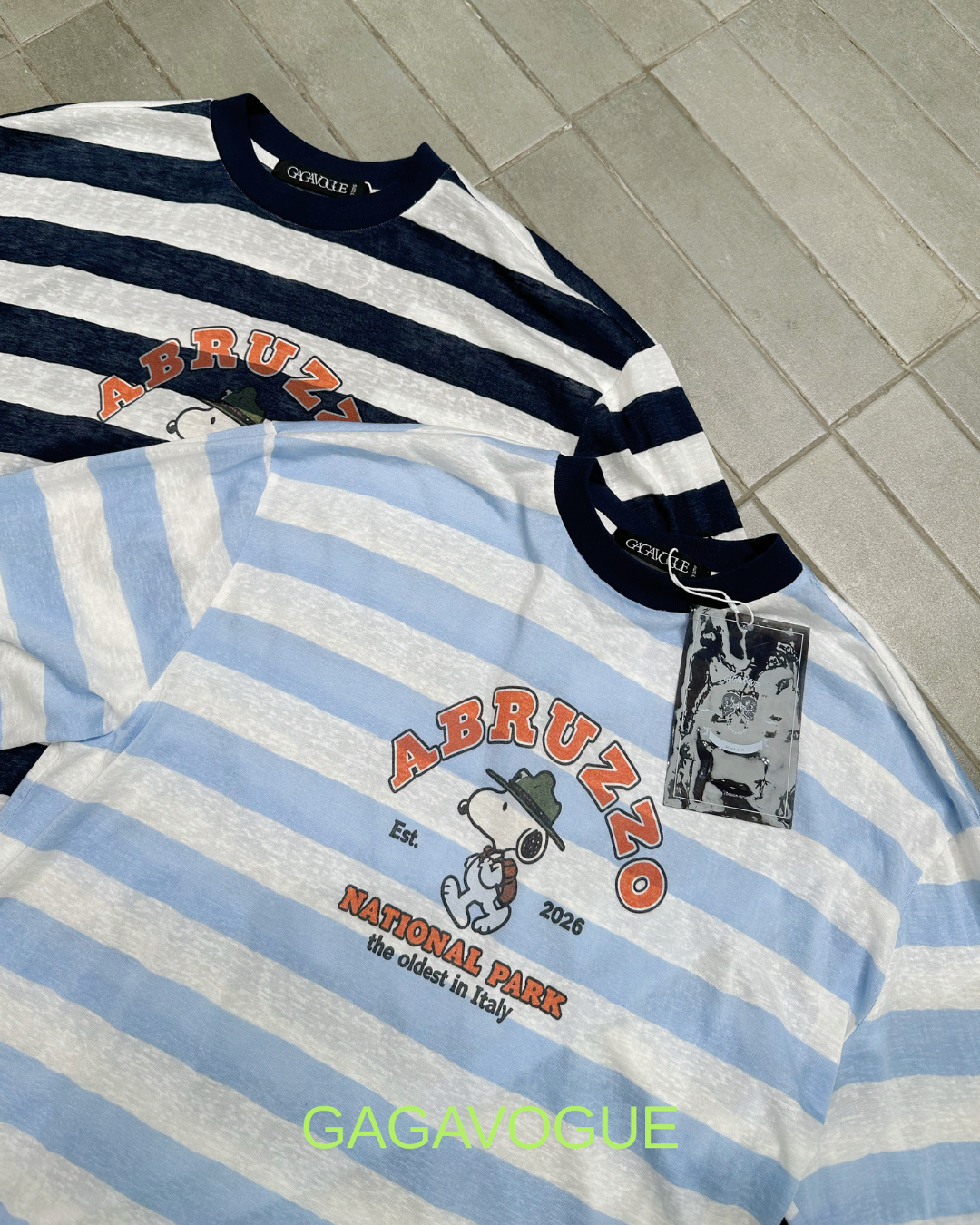 GAGAVOGUE ABRUZZO NATIONAL PARK STRIPED LONG SLEEVE T-SHIRT