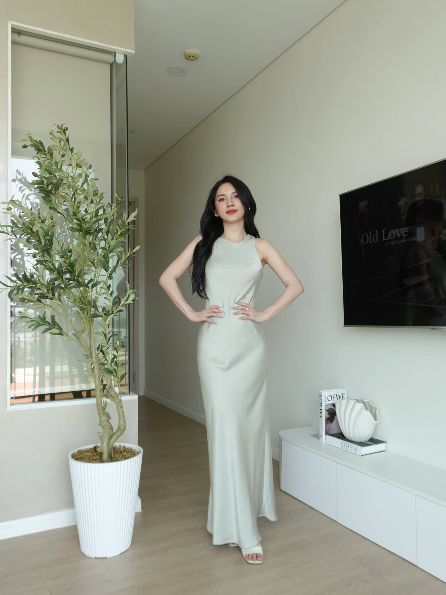 Đầm lụa cổ tròn khoét nách dáng Anie