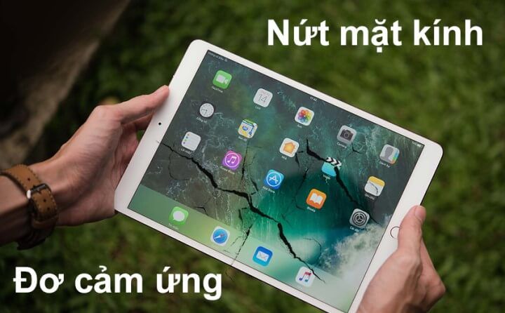 Biểu hiện chỉ nền thay mặt kính ipad