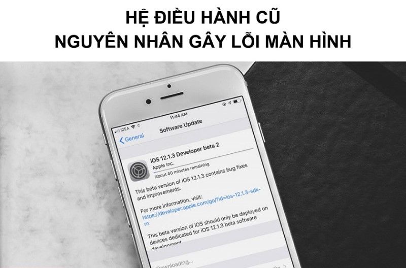 Nguyên nhân lỗi màn hình iphone se