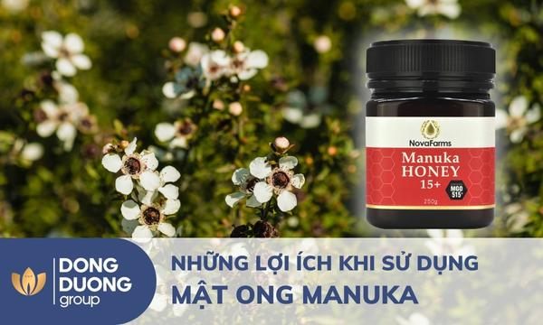 Những lợi ích khi sử dụng mật ong Manuka