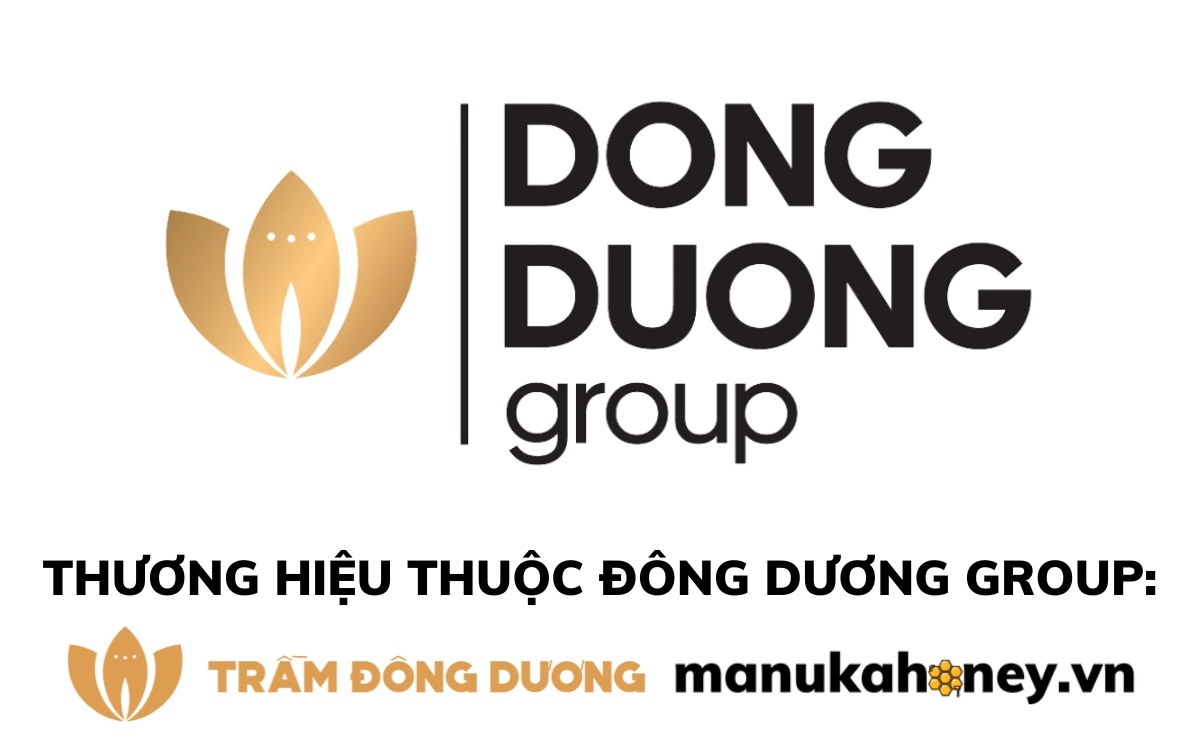 Sản phẩm & dịch vụ cung cấp bởi Đông Dương Group
