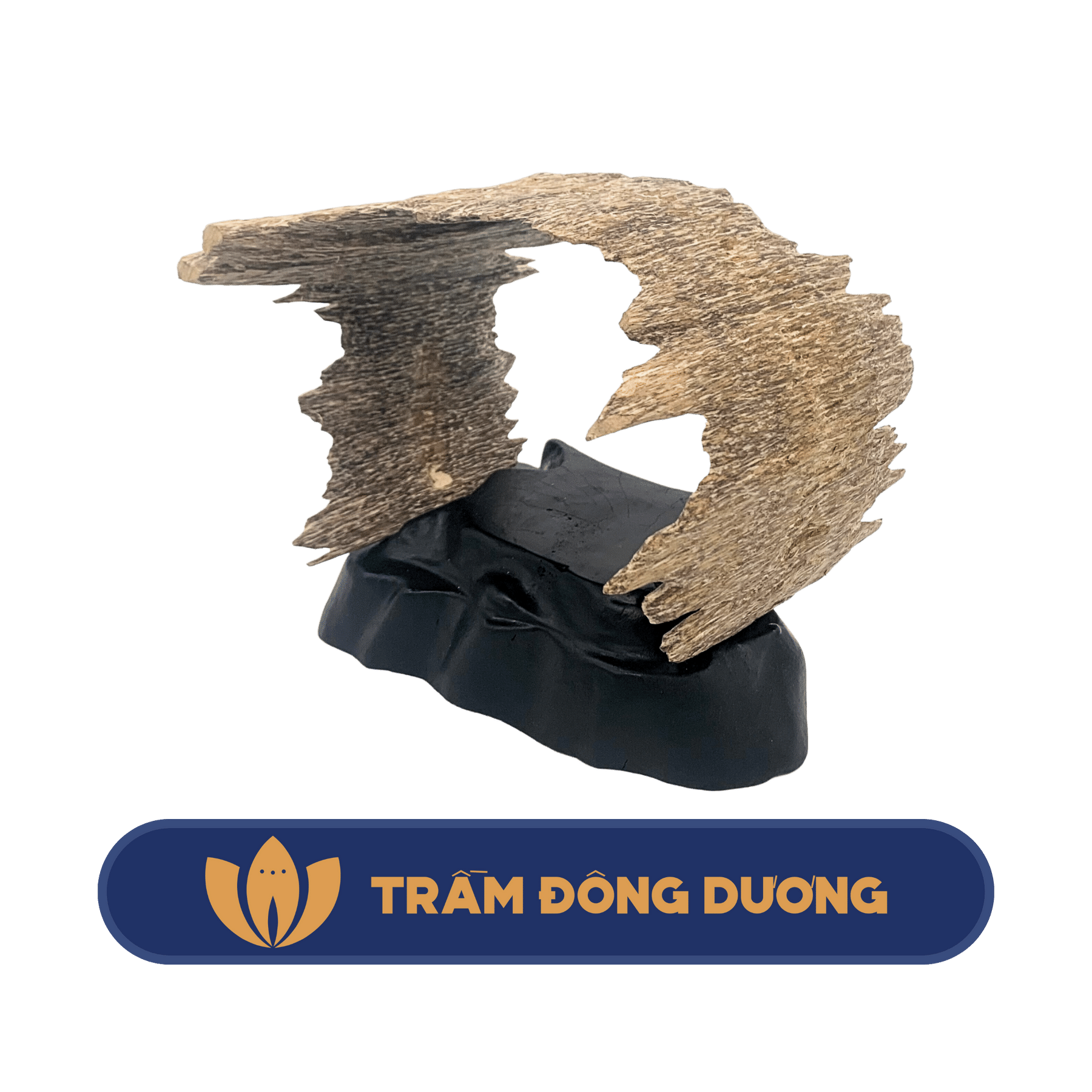 Trầm hương tự nhiên Việt Nam