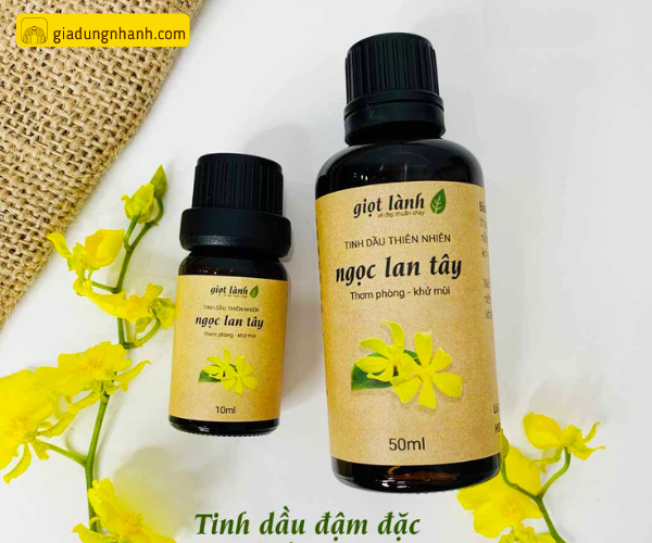 Tinh dầu ngọc lan tây chống say xe