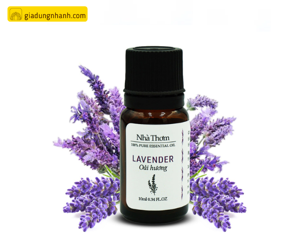 Tinh dầu oải hương Lavender