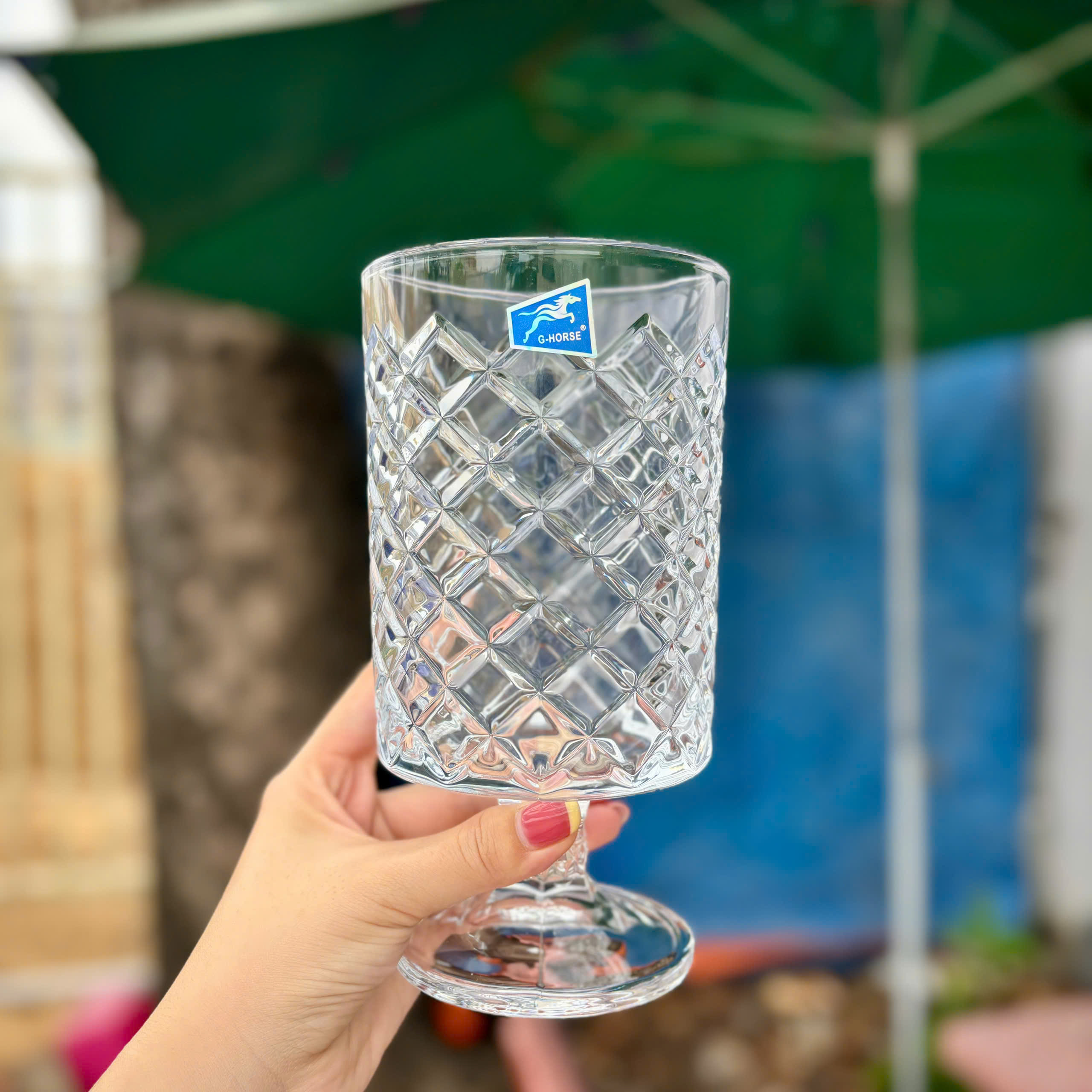 [15] Bình Cắm Hoa Thủy Tinh ĐẾ CAO 19cm G-Horse BMHP14307LXT (V)