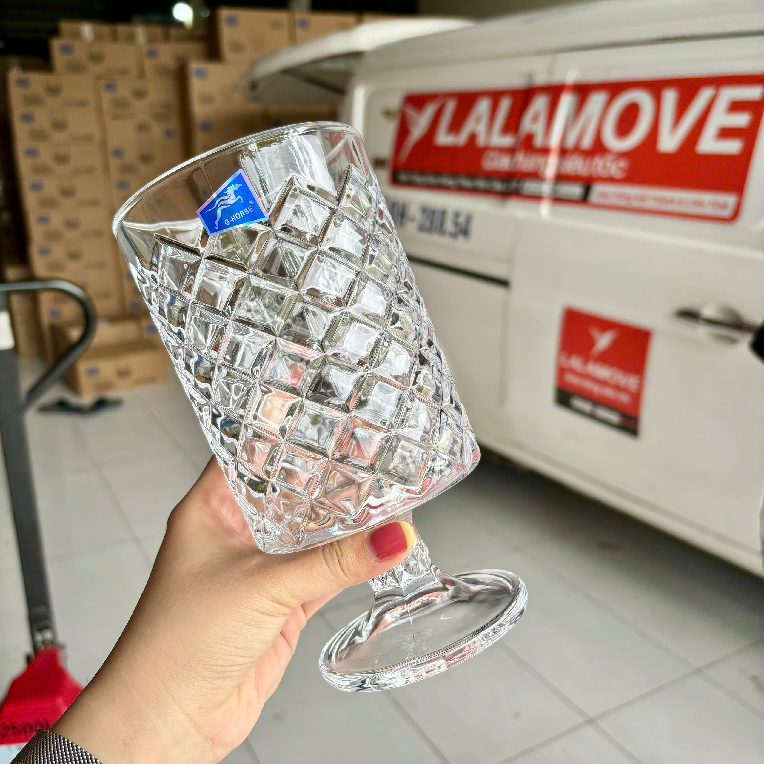 [15] Bình Cắm Hoa Thủy Tinh ĐẾ CAO 19cm G-Horse BMHP14307LXT (V)