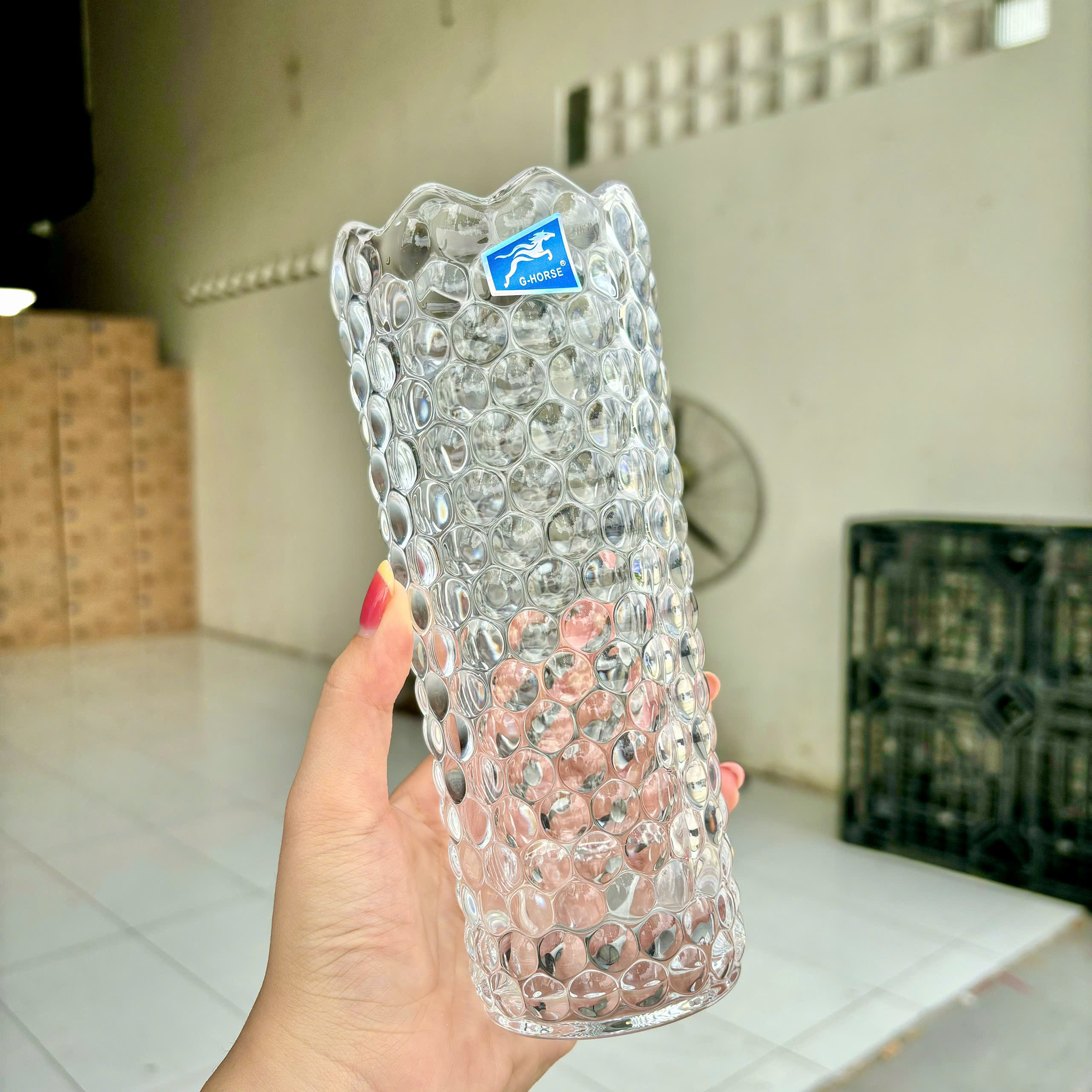 [24] Bình Cắm Hoa Thủy Tinh 19cm CHẤM BI G-Horse BMHP05508YD (V)