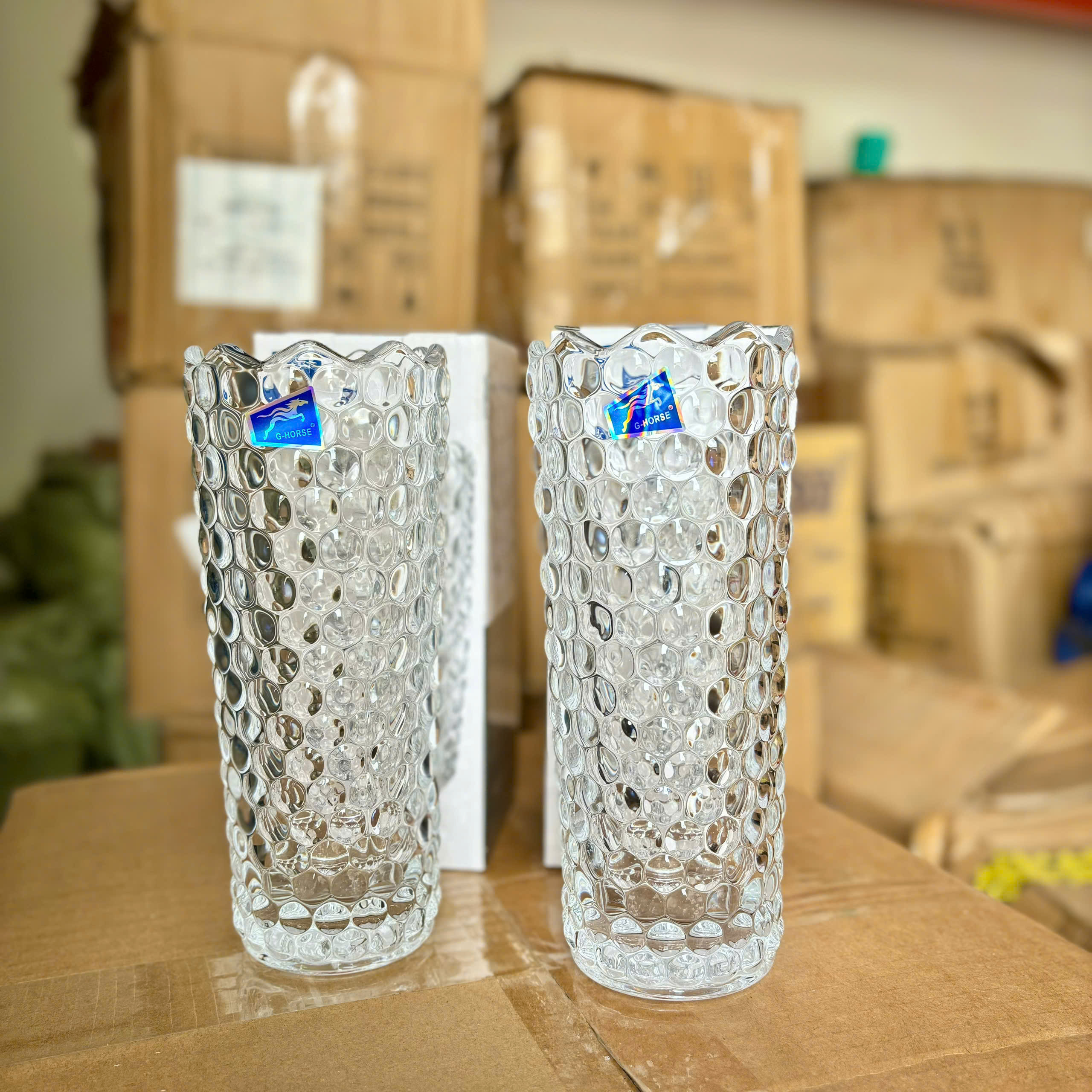 [24] Bình Cắm Hoa Thủy Tinh 19cm CHẤM BI G-Horse BMHP05508YD (V)