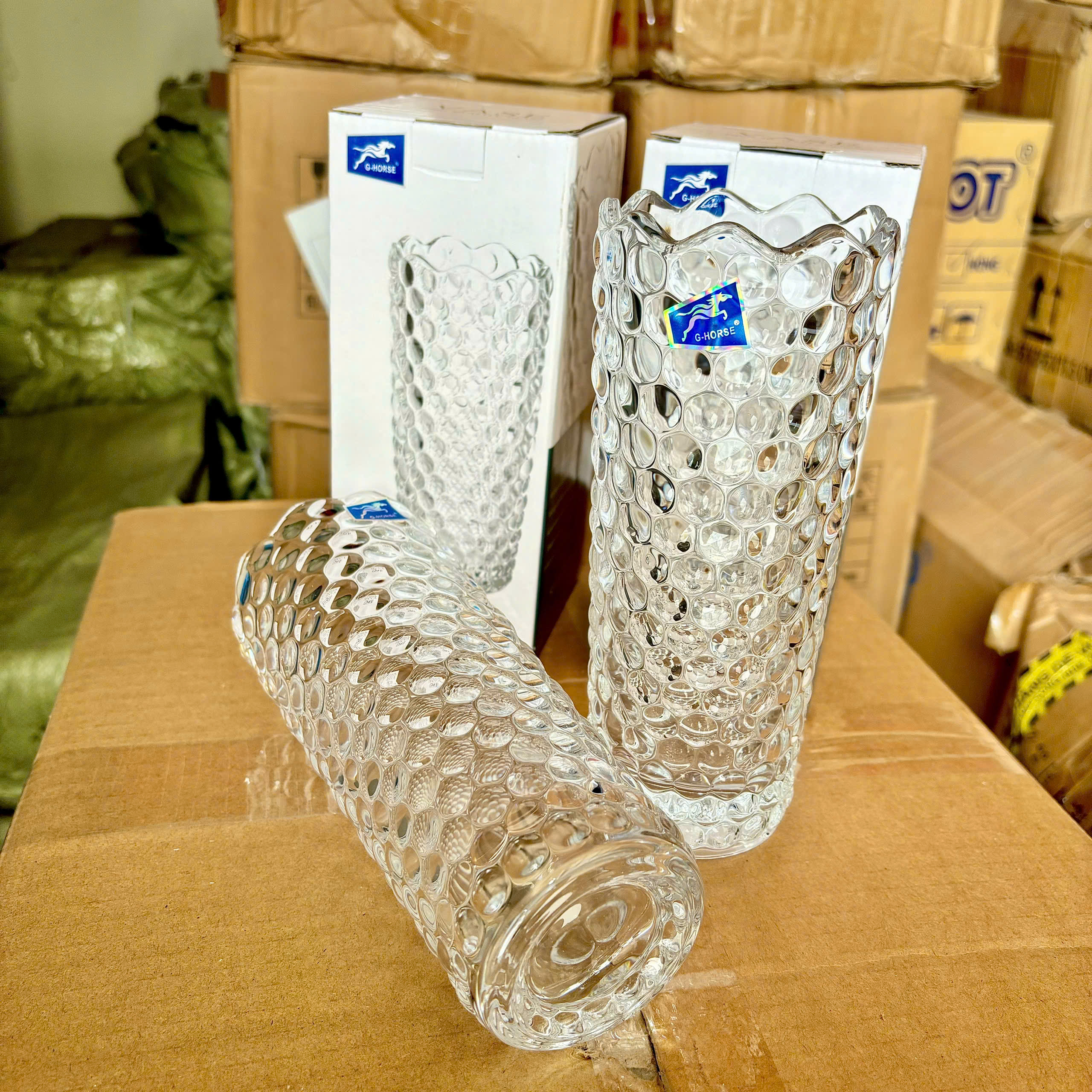 [24] Bình Cắm Hoa Thủy Tinh 19cm CHẤM BI G-Horse BMHP05508YD (V)