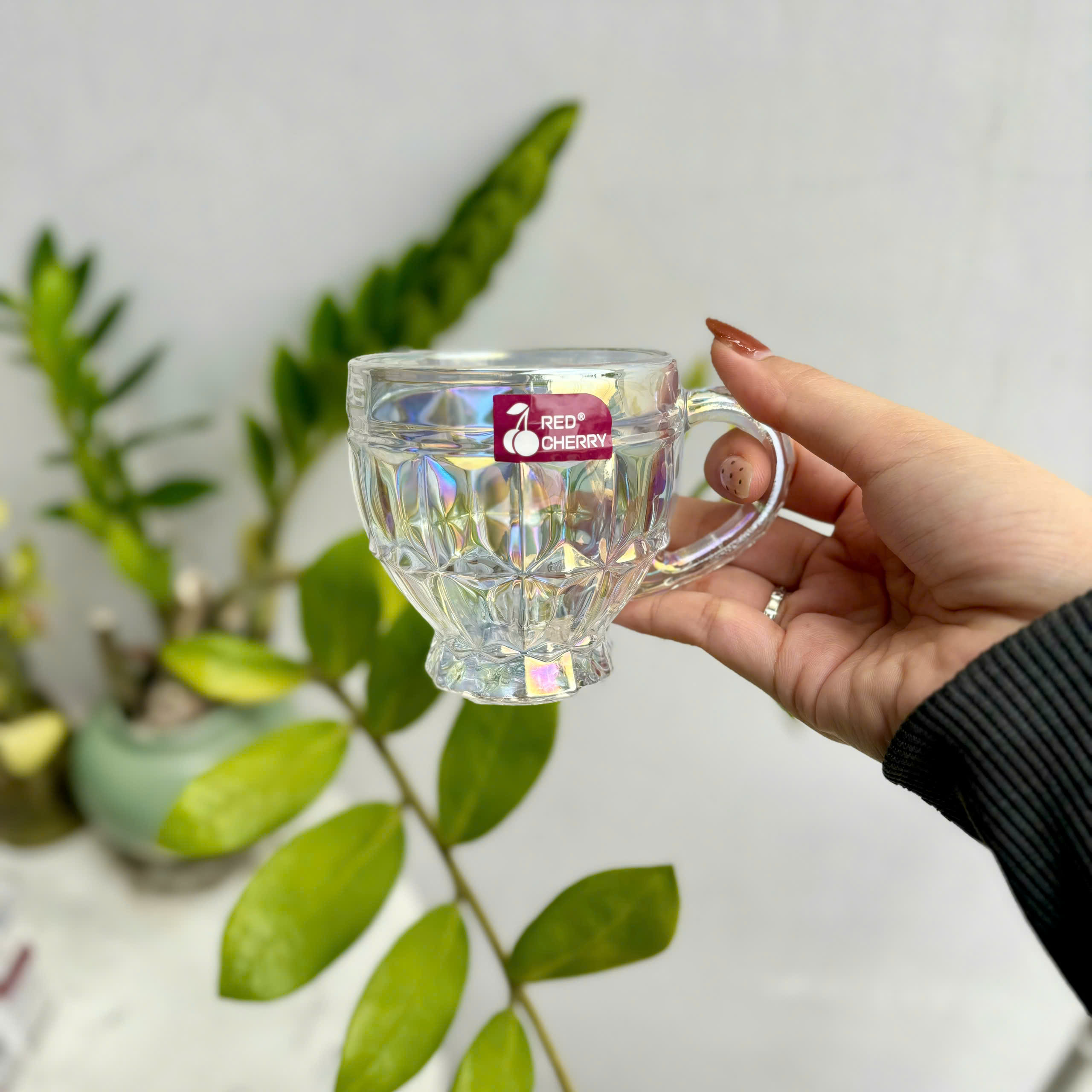 [24] Set 3 Ly Thủy Tinh CẦU VỒNG Có Quai 185ml ZB45A/B/C