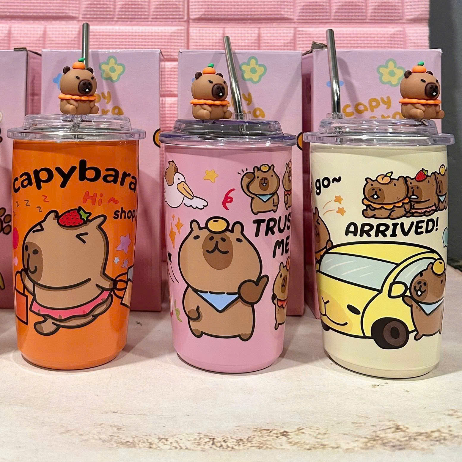 [50] Bình Giữ Nhiệt Capybara 500ml