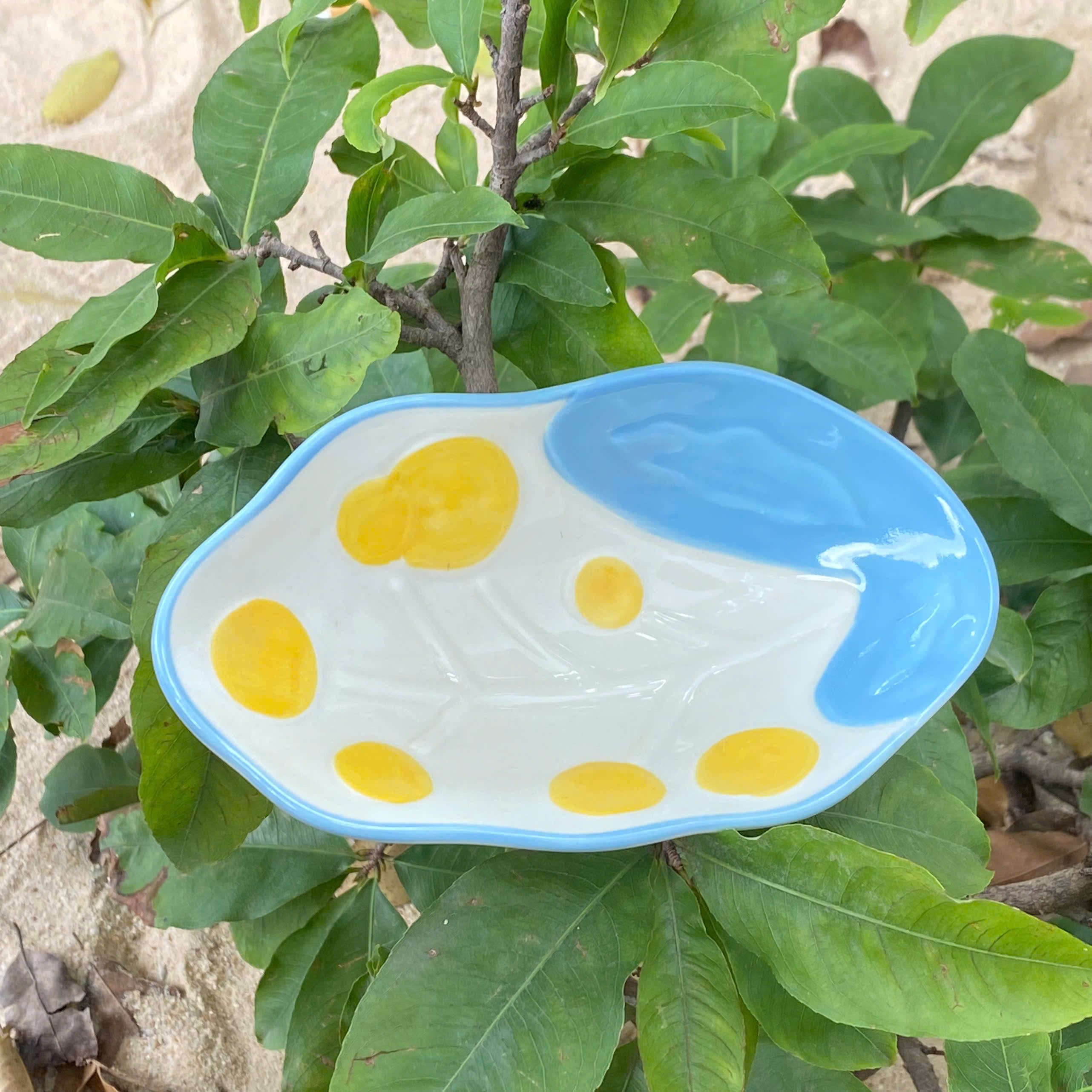 [60] Chén sứ 3D hoạ tiết 5.5 inch