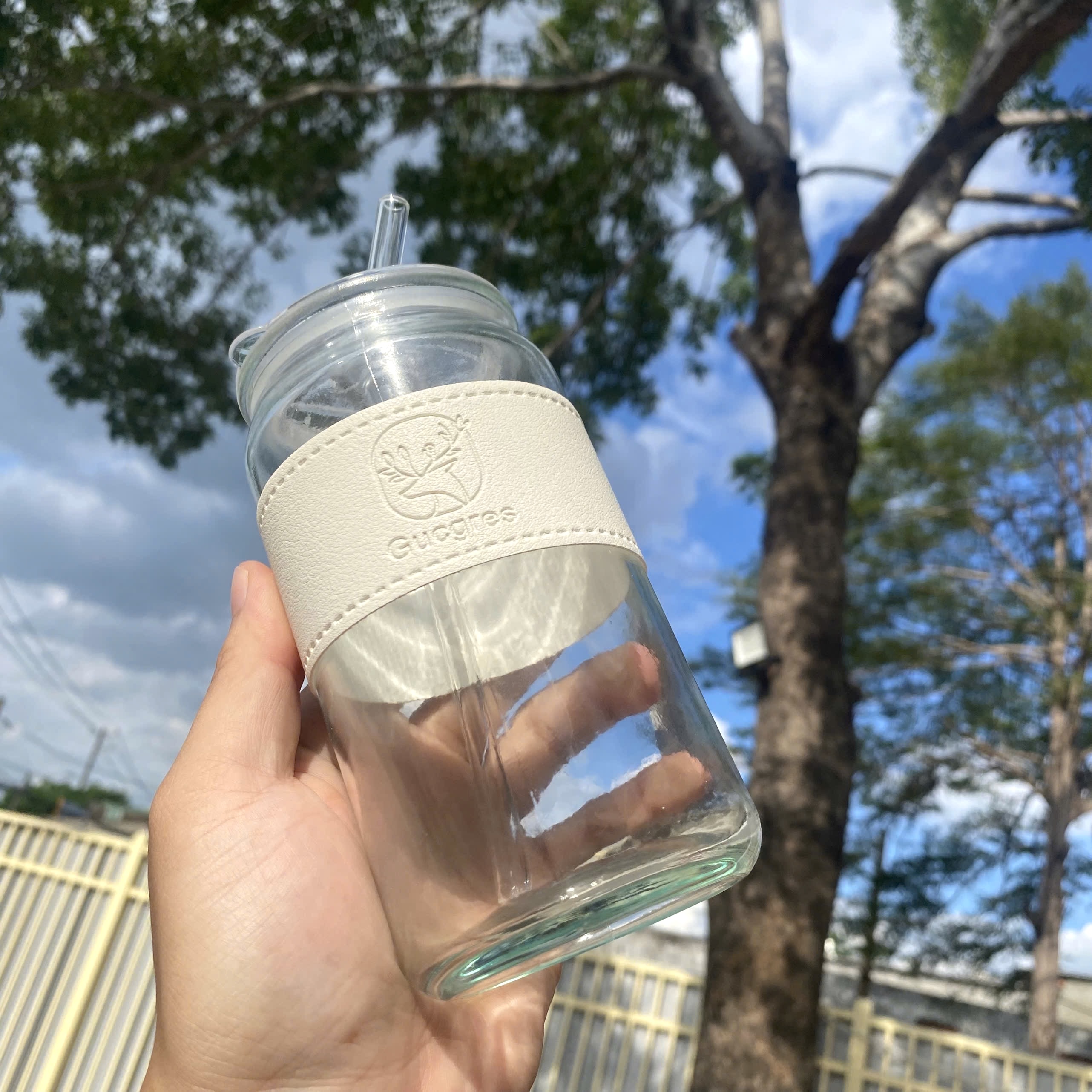 [70] Ly Thủy Tinh Hình Trụ Có Nắp 500ml (V)