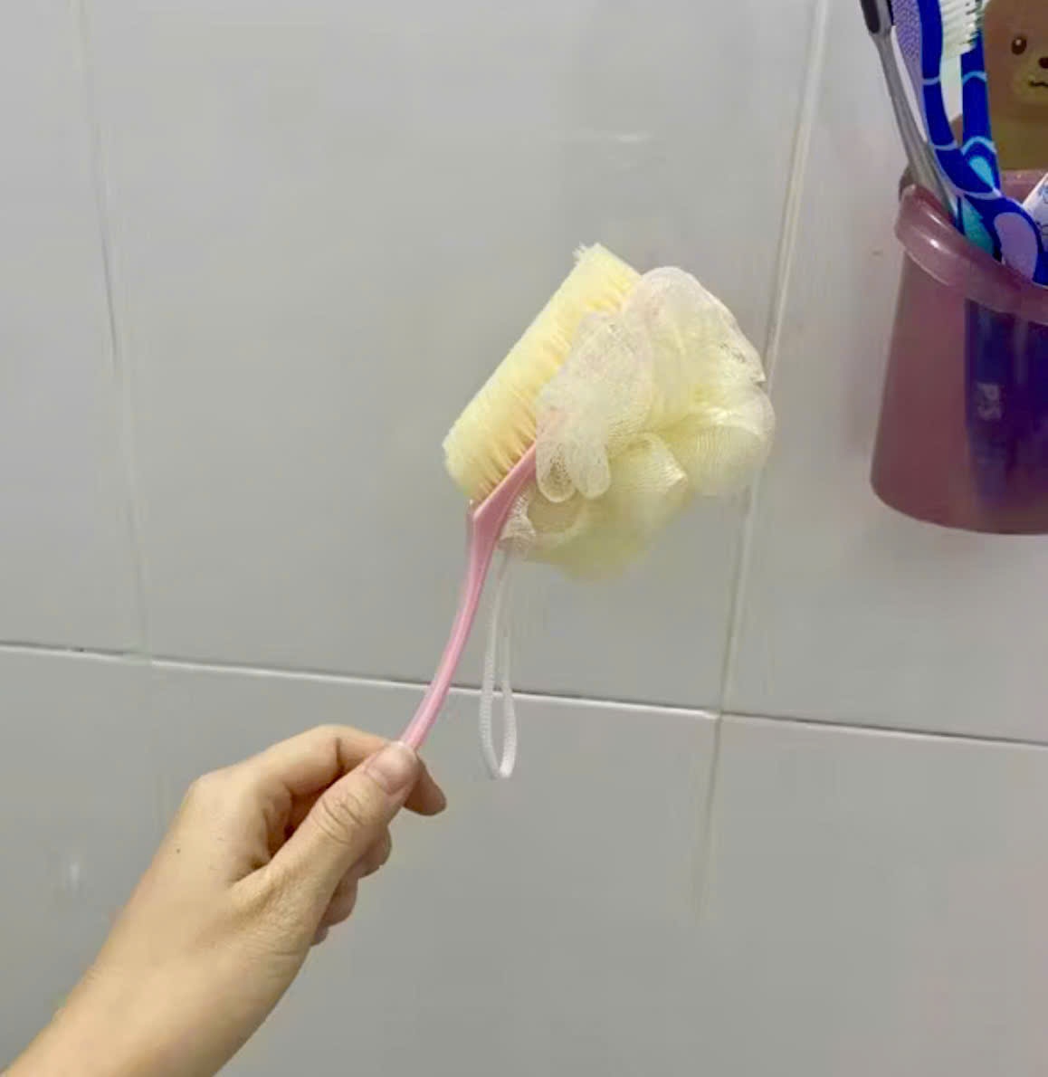 [300] Cây Cọ Tắm 2 Đầu