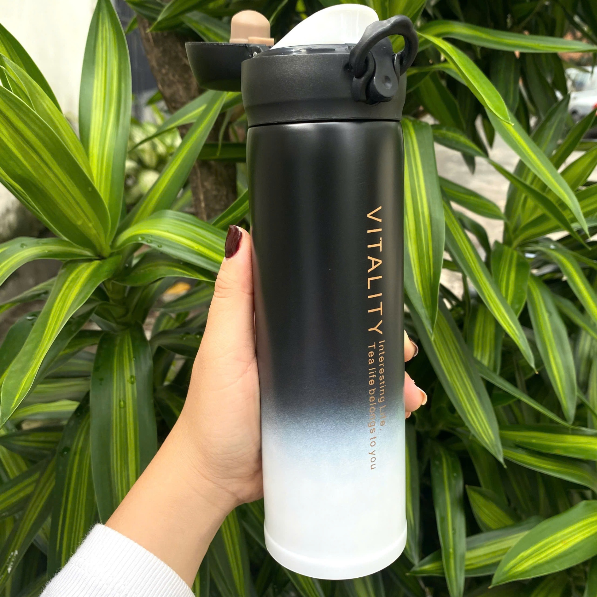 [50] Bình Giữ Nhiệt 500ml VITALYTI 036