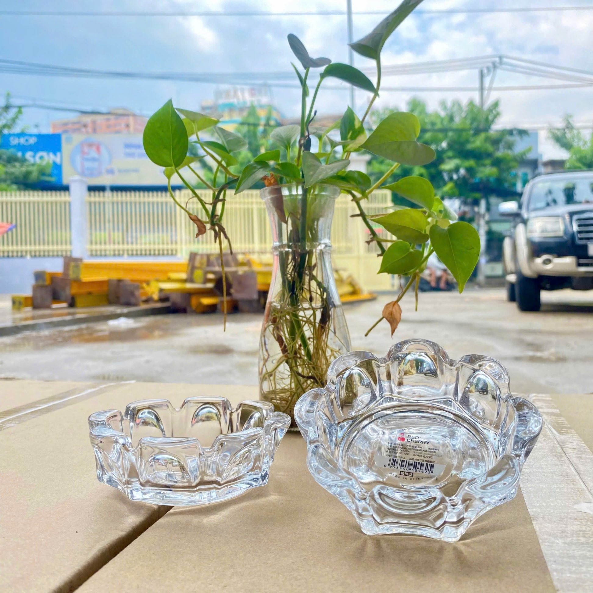 [72] Gạt Tàn Hình HOA (SANFORD) YG8025-3