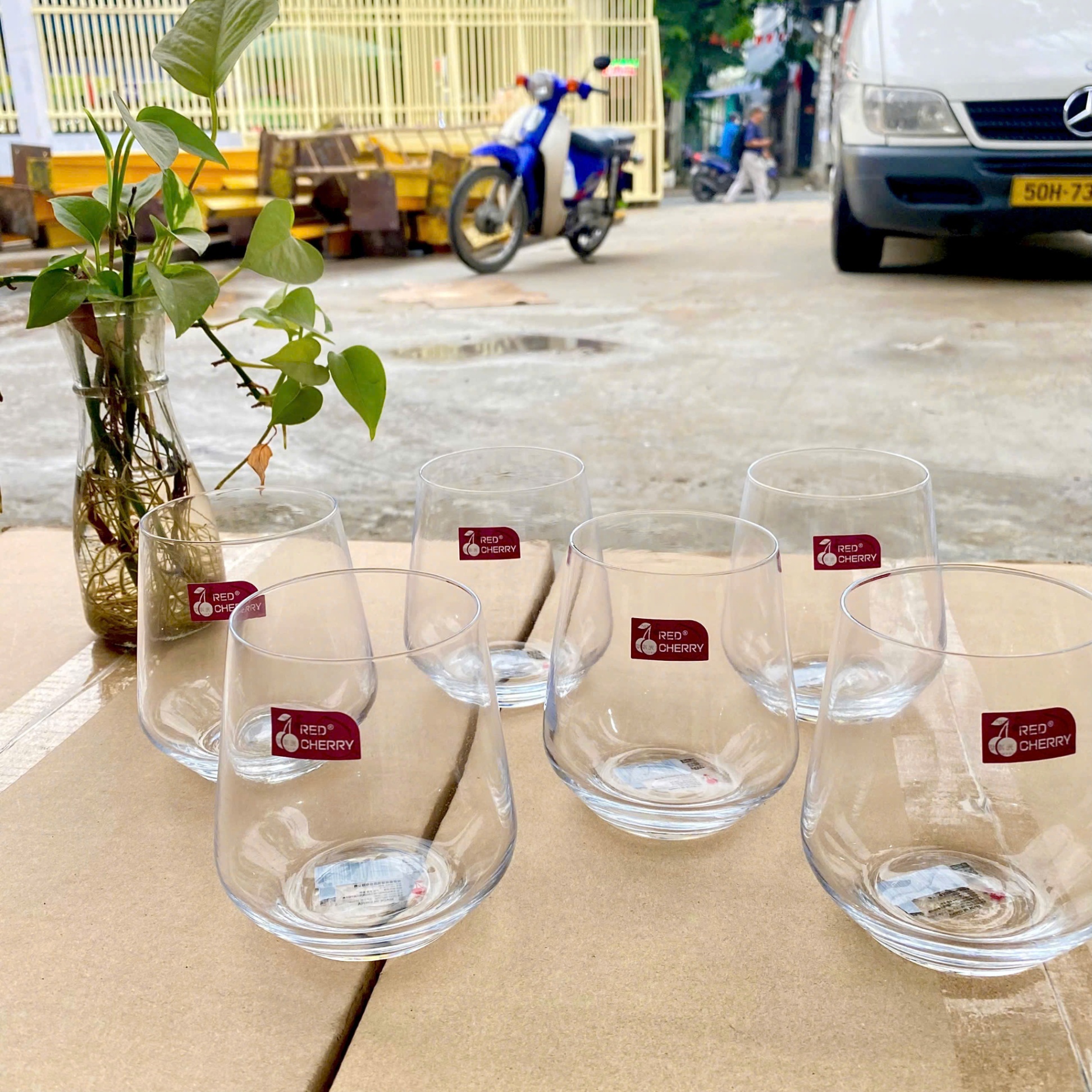 [12] Set 6 ly thuỷ tinh bầu 7018-3