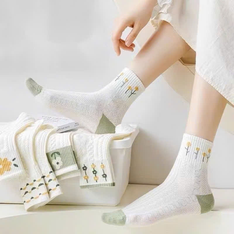 [100] Set 10 Đôi Tất Hoa Xanh