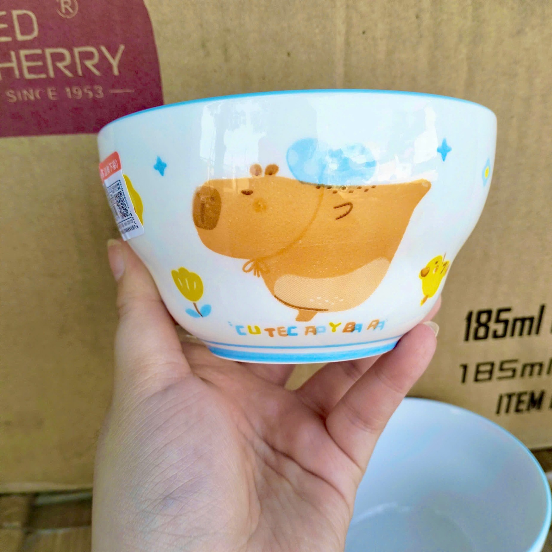 [120] Chén Sứ Hoạt Hình 4.5inch (V)