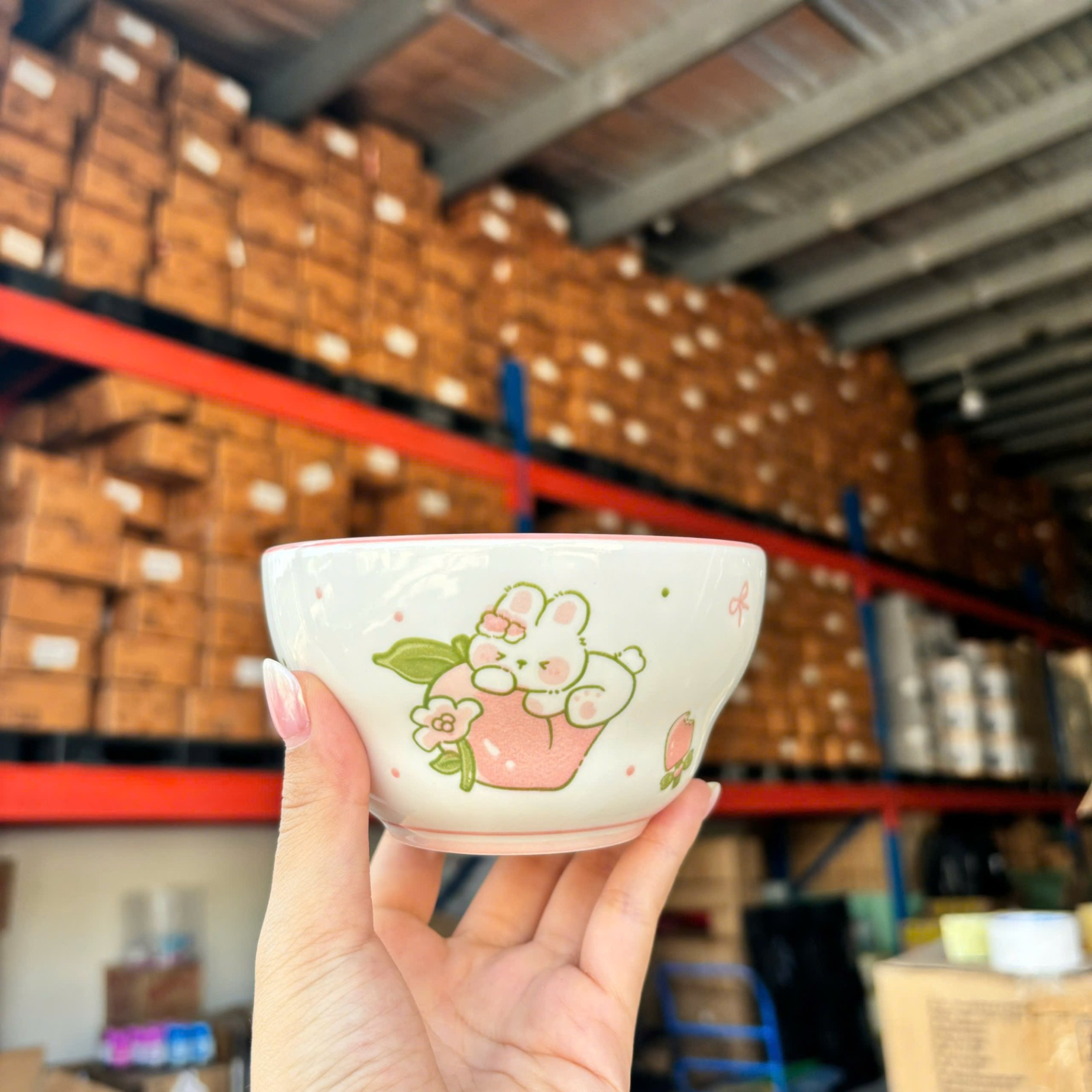 [120] Chén Sứ Hoạt Hình 4.5inch (V)