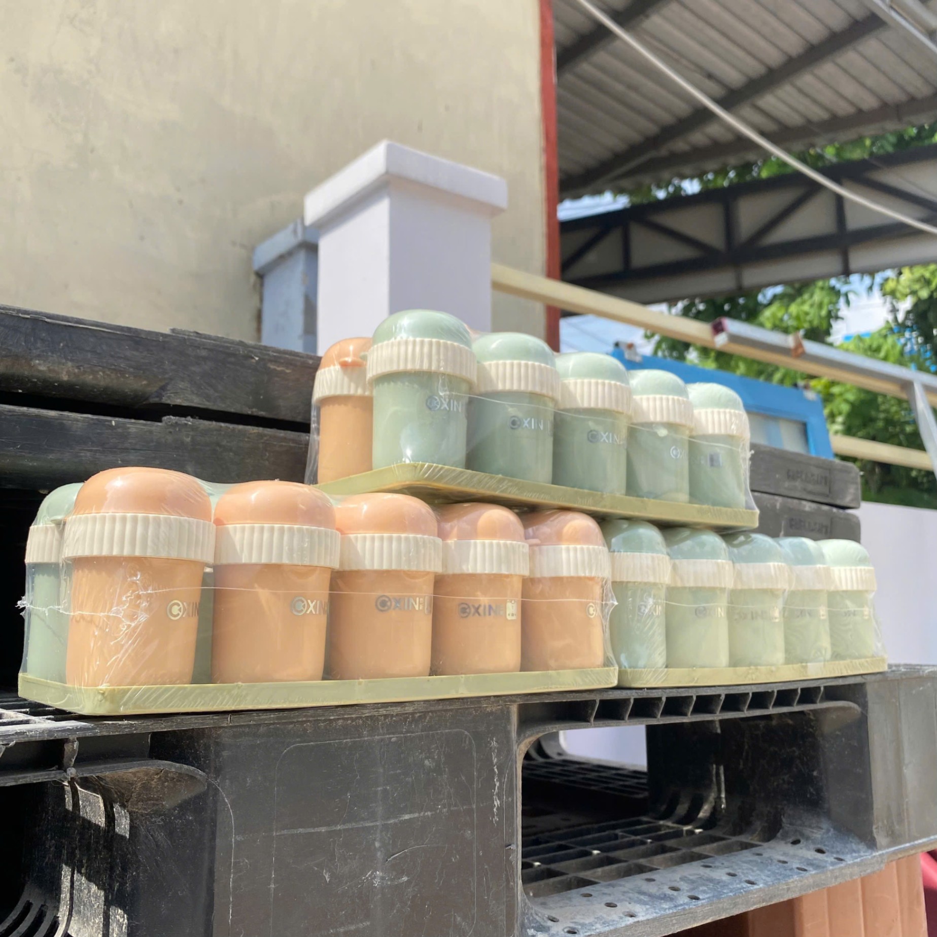 [400] Hộp Đựng Tăm Xỉa Răng Hình Gấu