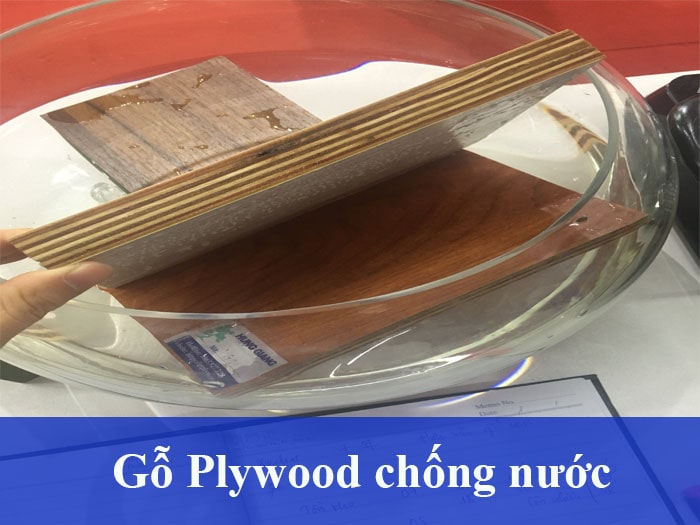 Gỗ plywood có tốt không - gỗ plywood chịu nước tốt