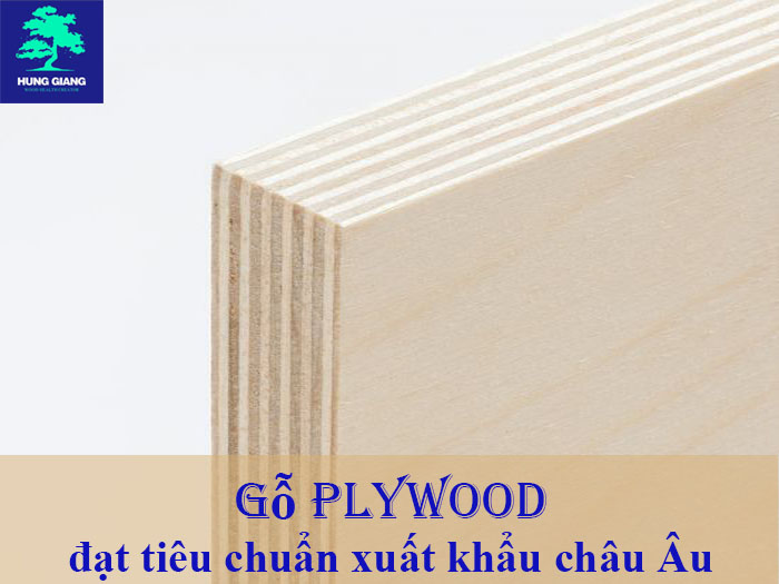 gỗ plywood Hà Nội