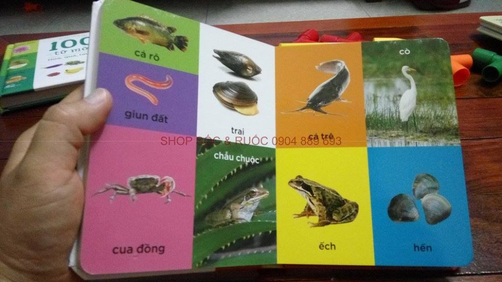 100-tu-moi-lang-que-cua-em-hoa-qua-rau-cu-cac-con-vat-thanh-pho-men-yeu-tau-thuyen-xe-co-chu-cai-so-dem-mau-sac-hinh-dang (40)