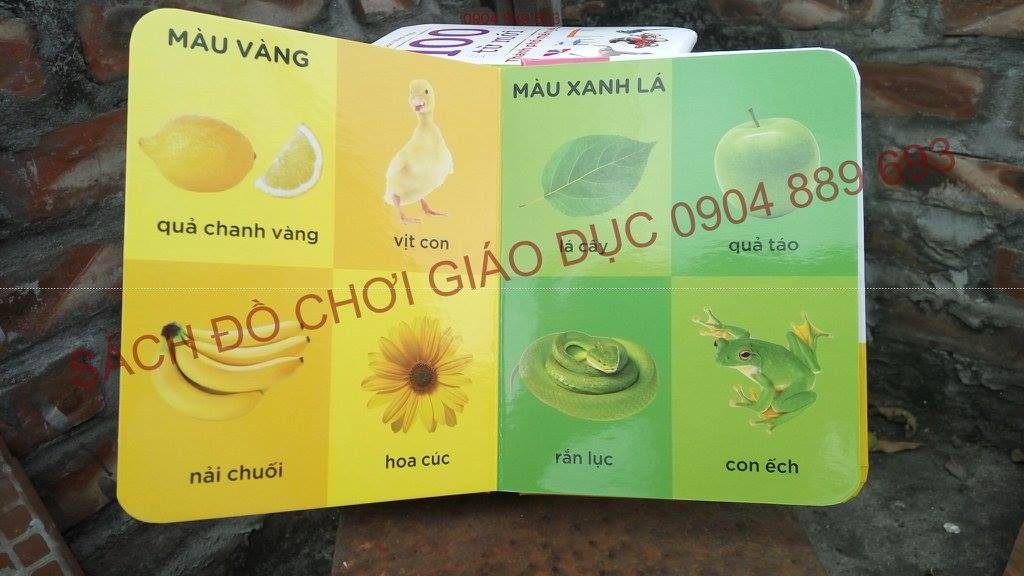 100-tu-moi-lang-que-cua-em-hoa-qua-rau-cu-cac-con-vat-thanh-pho-men-yeu-tau-thuyen-xe-co-chu-cai-so-dem-mau-sac-hinh-dang (32)