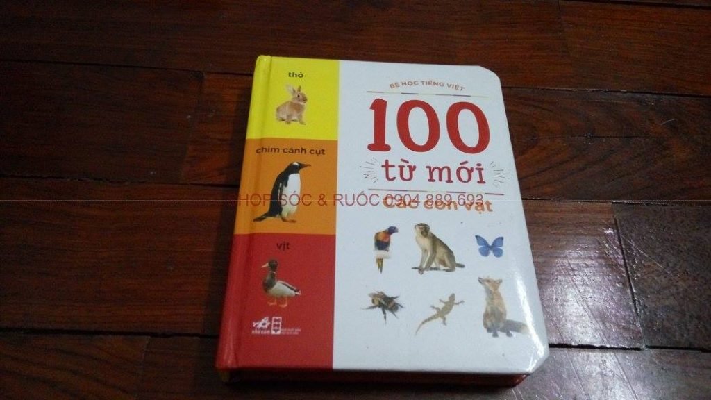 100-tu-moi-lang-que-cua-em-hoa-qua-rau-cu-cac-con-vat-thanh-pho-men-yeu-tau-thuyen-xe-co-chu-cai-so-dem-mau-sac-hinh-dang (36)