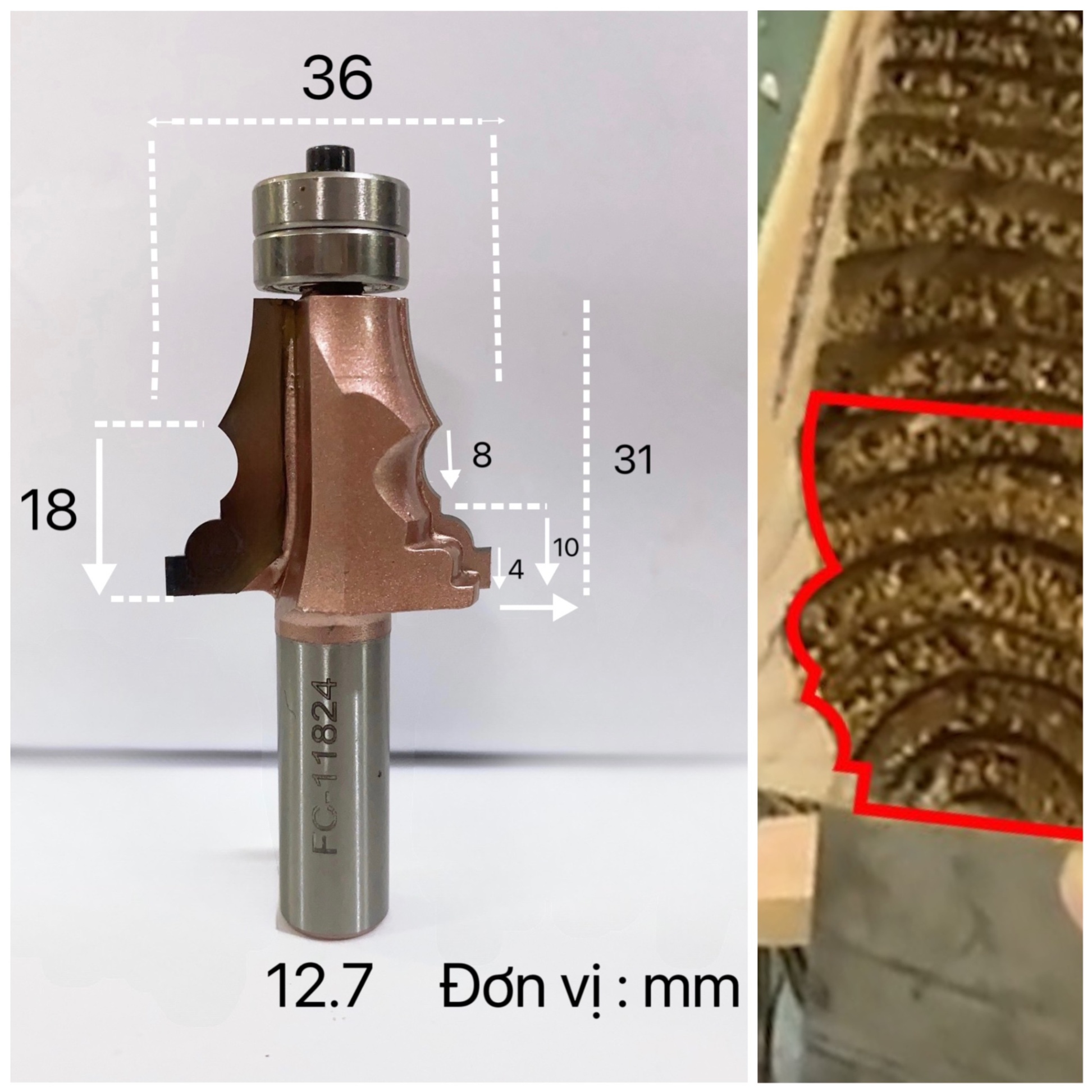 Mũi soi chỉ cánh tủ hồng mã 2