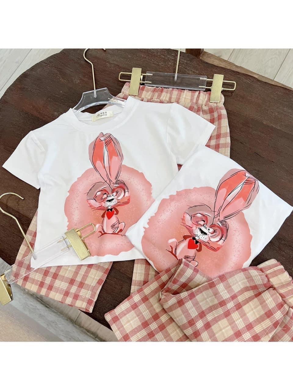￼bg95- bộ áo thỏ quần kẻ xuông cho bé