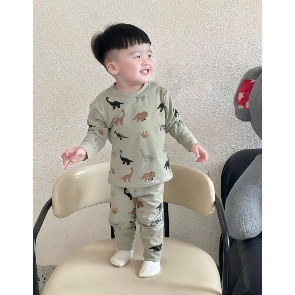 Sét 3 bộ cotton dài tay khủng long cho bé
