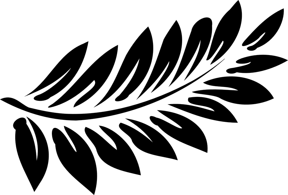 100% tự nhiên