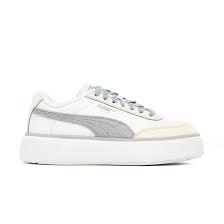 R22 Puma Oslo Maja