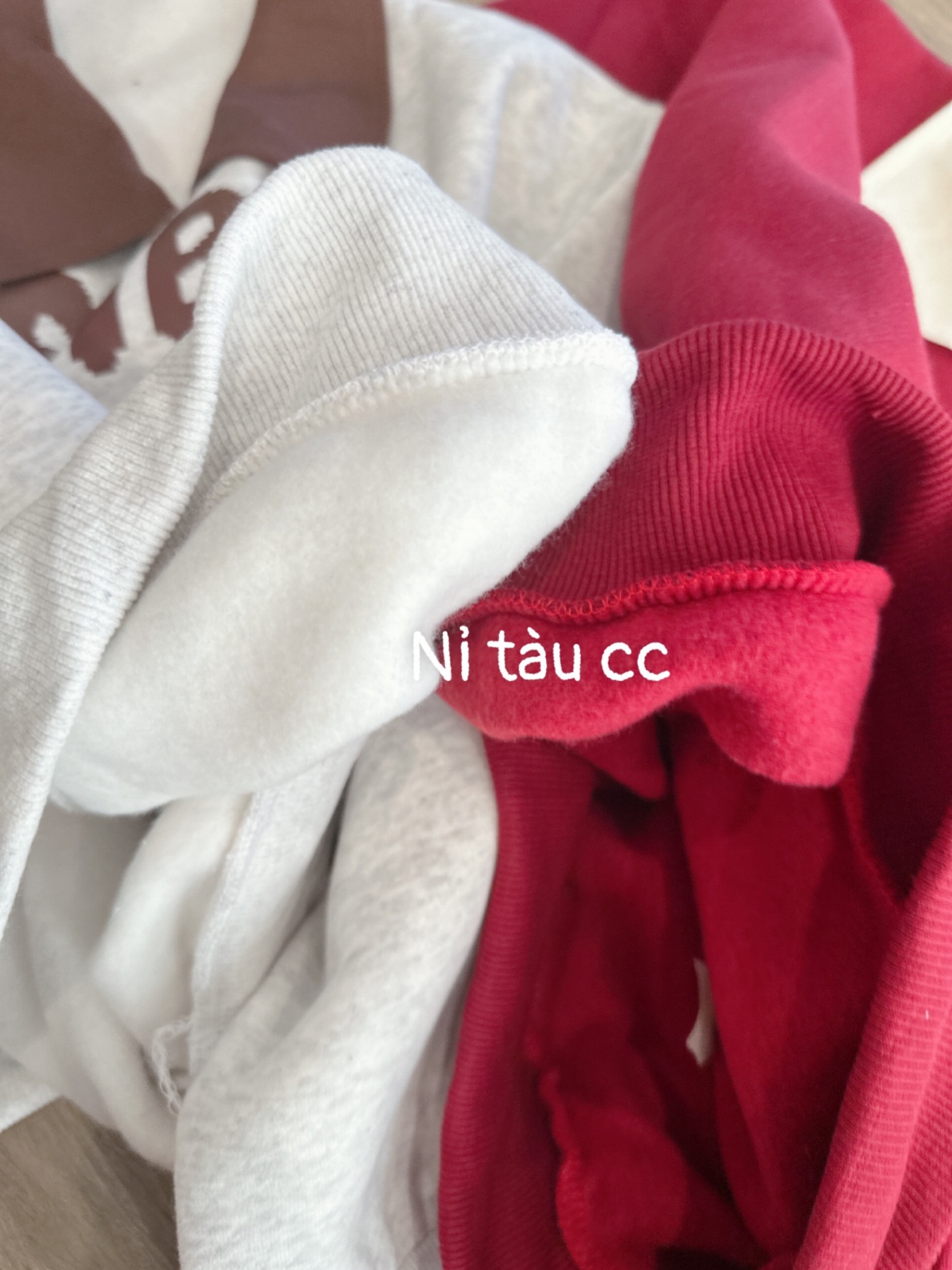 Y171- ÁO NỈ TÀU NỮ GẤU ISIBLE CỔ SƠ MI