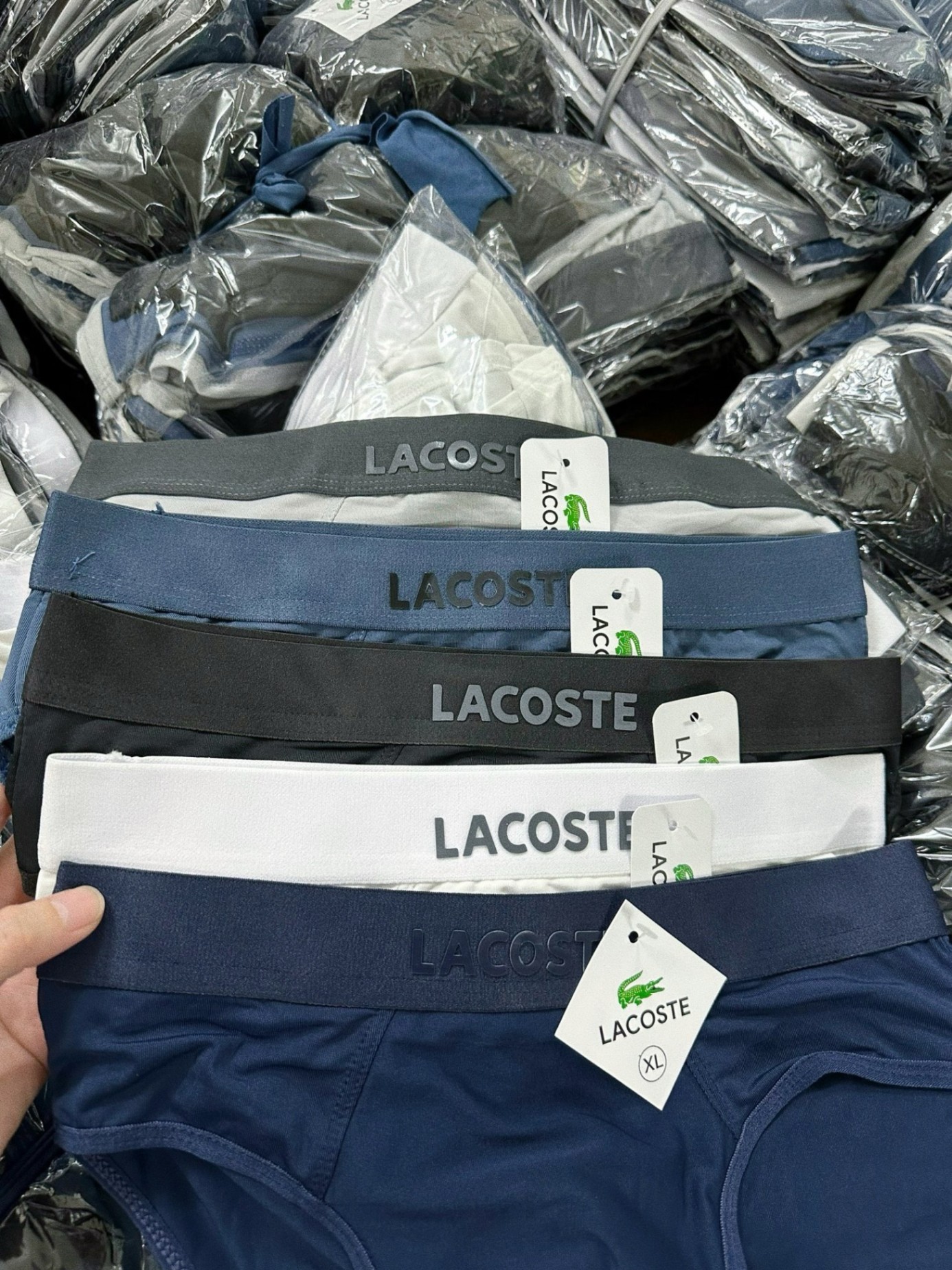 H2230- SET 10 QUẦN SỊP LACOSTE CHO NAM