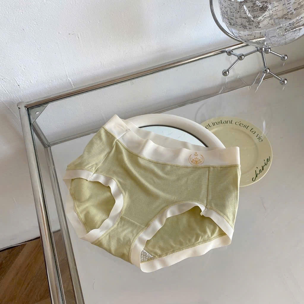 H3279- XẢ KHO SET 10 QUẦN LÓT COTTON THANH LÝ CẠP CAO