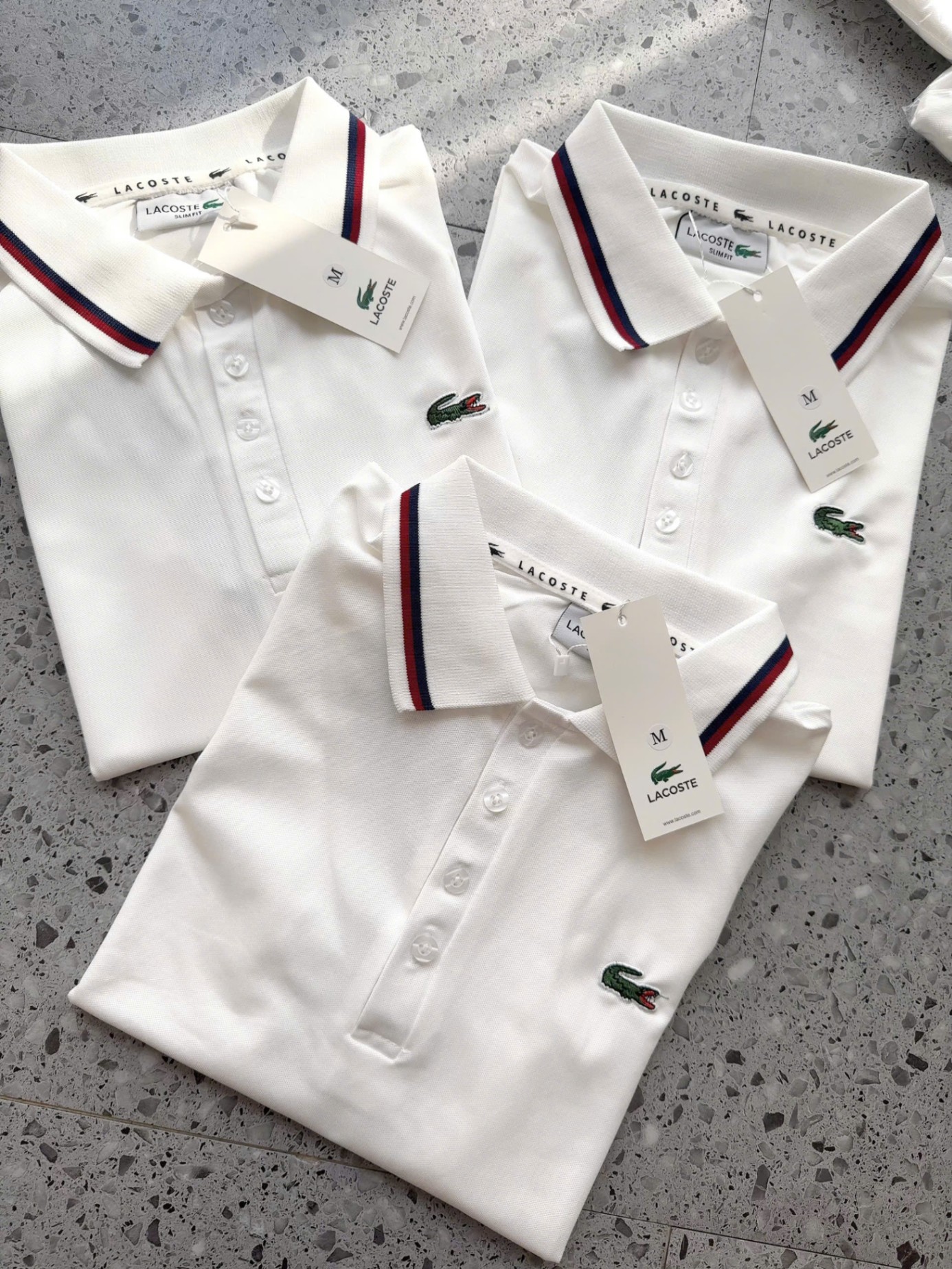 Y4531- ÁO POLO NỮ TRẮNG LASCOTE CỔ VIỀN ĐEN ĐỎ