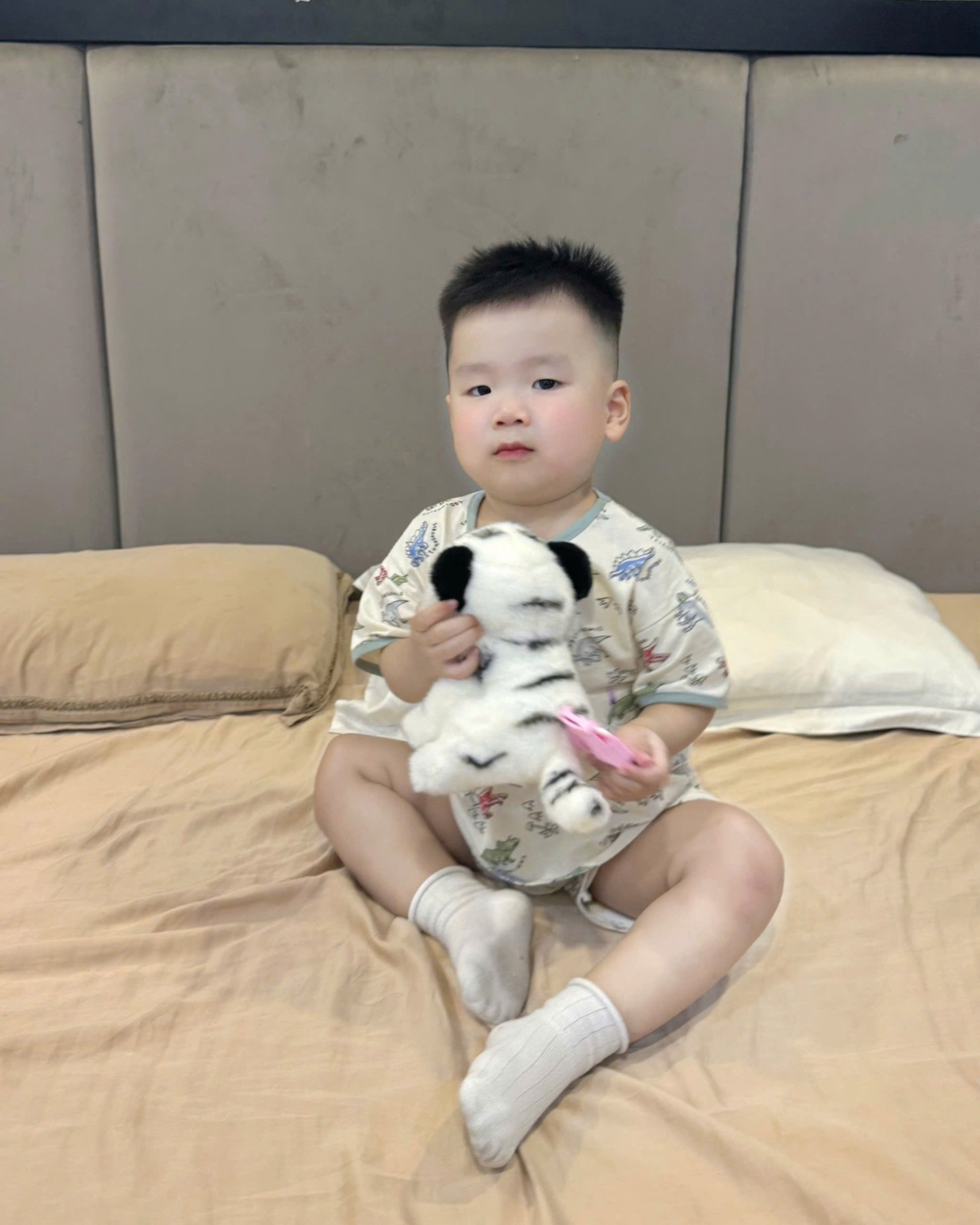 TH830- SET 2 BỘ KHỦNG LONG DINO BÉ TRAI
