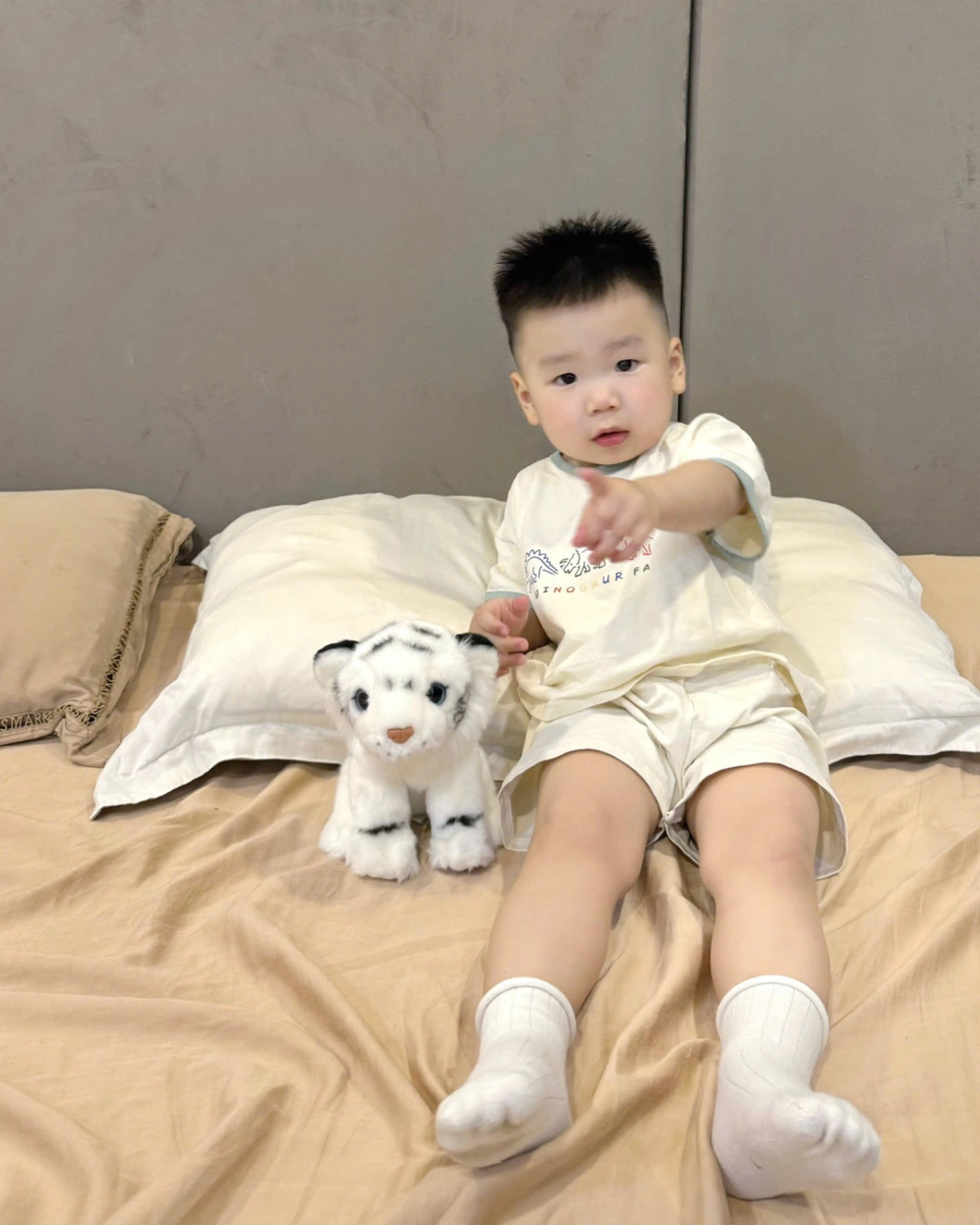 TH830- SET 2 BỘ KHỦNG LONG DINO BÉ TRAI
