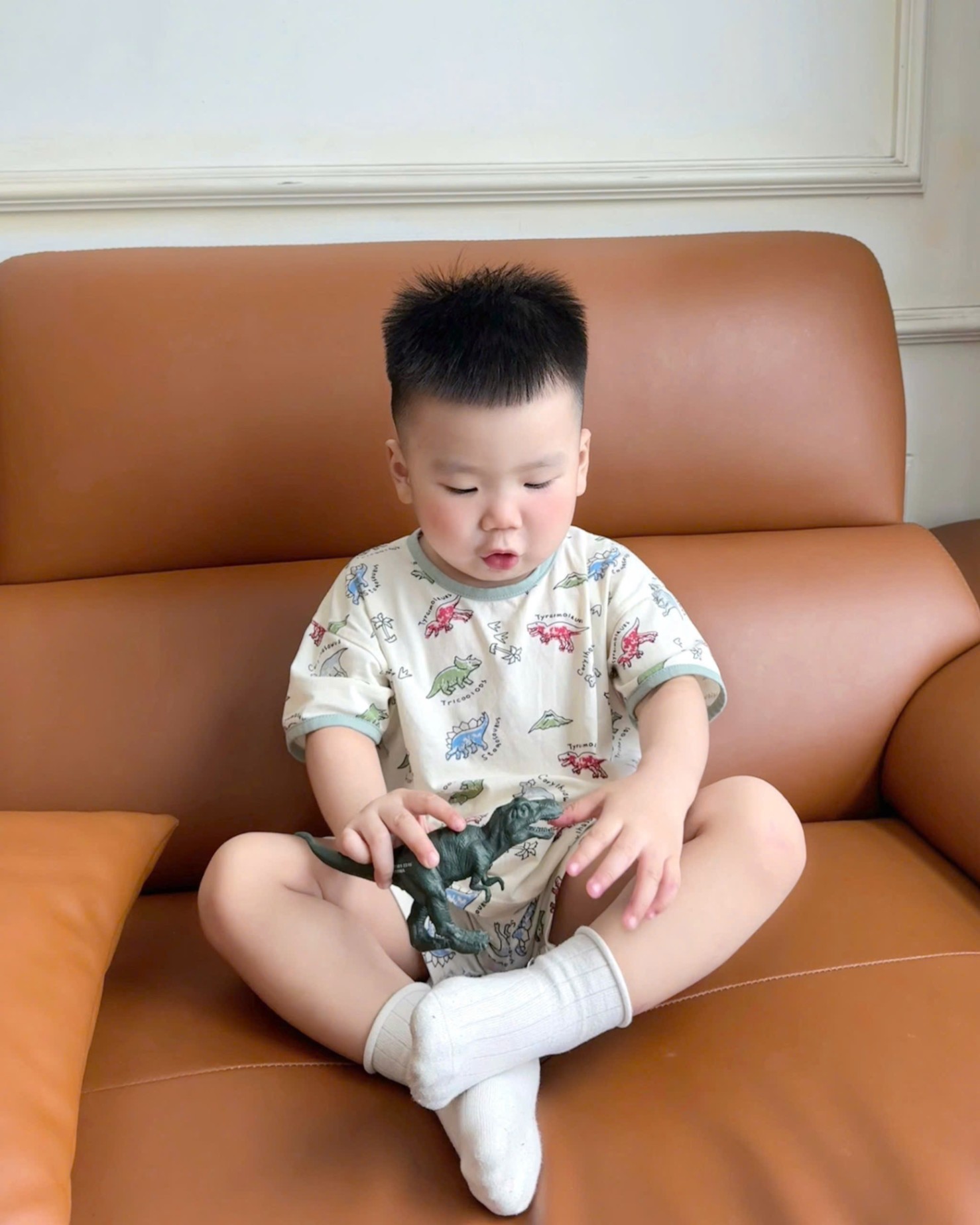 TH830- SET 2 BỘ KHỦNG LONG DINO BÉ TRAI